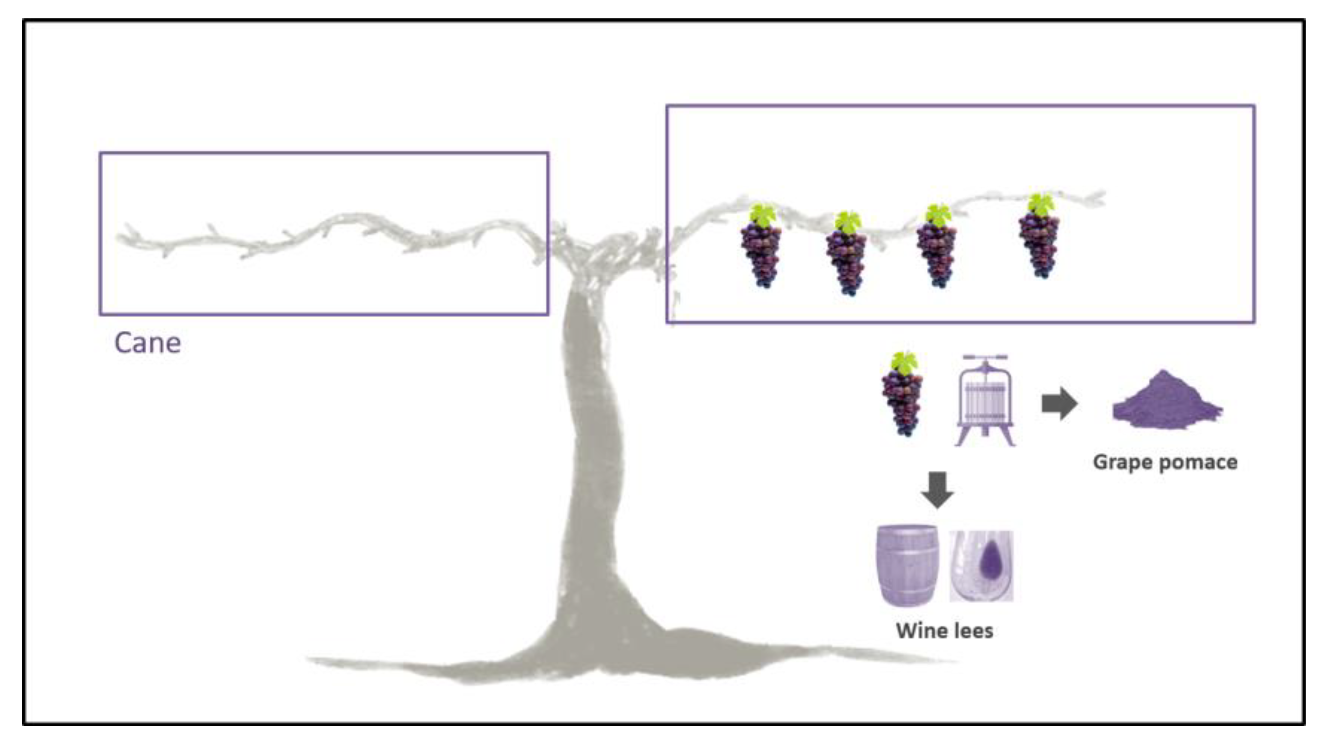 Nutrients 15 00928 g002 Nutrients 15 00928 g002