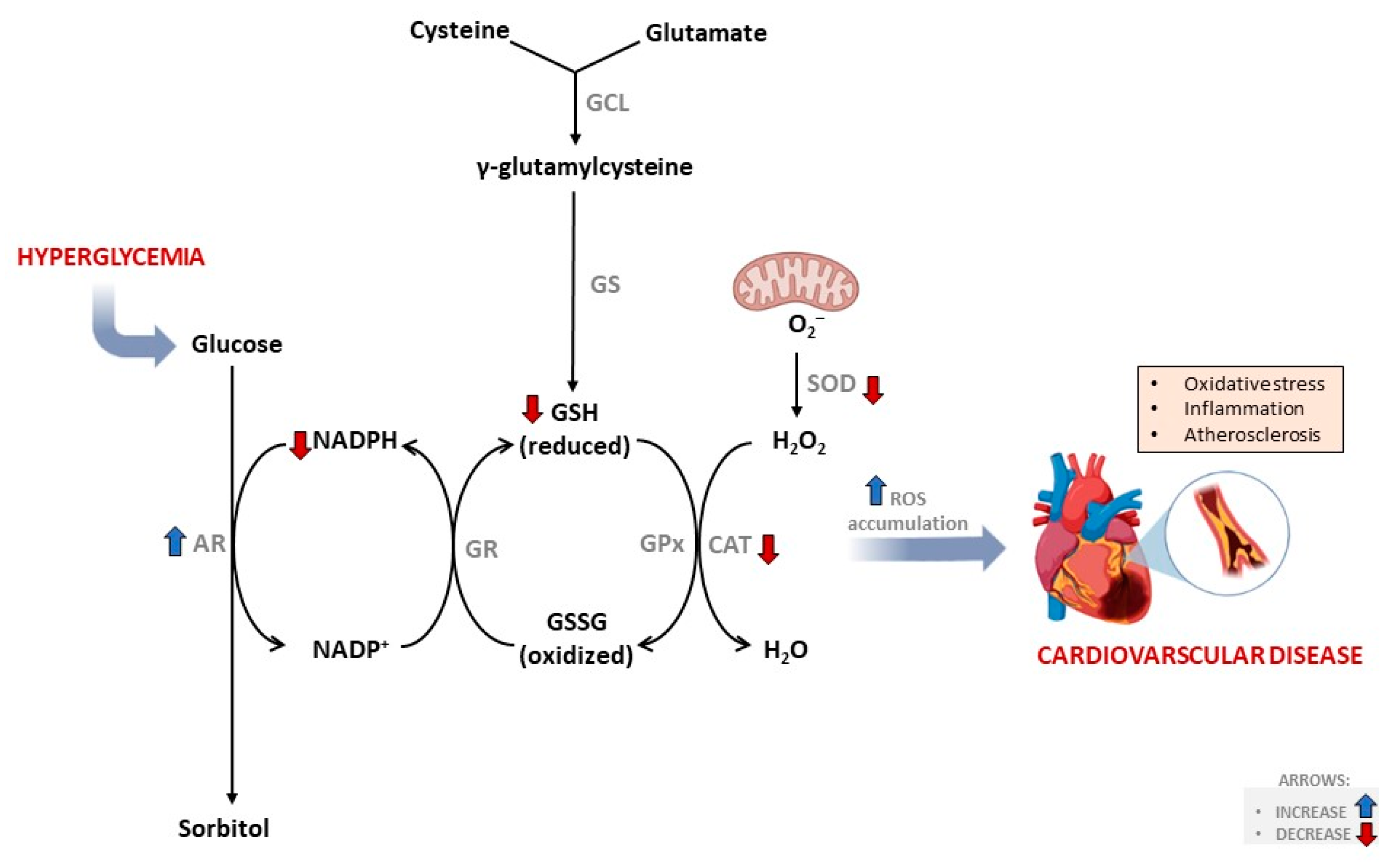 Nutrients 15 00944 g001