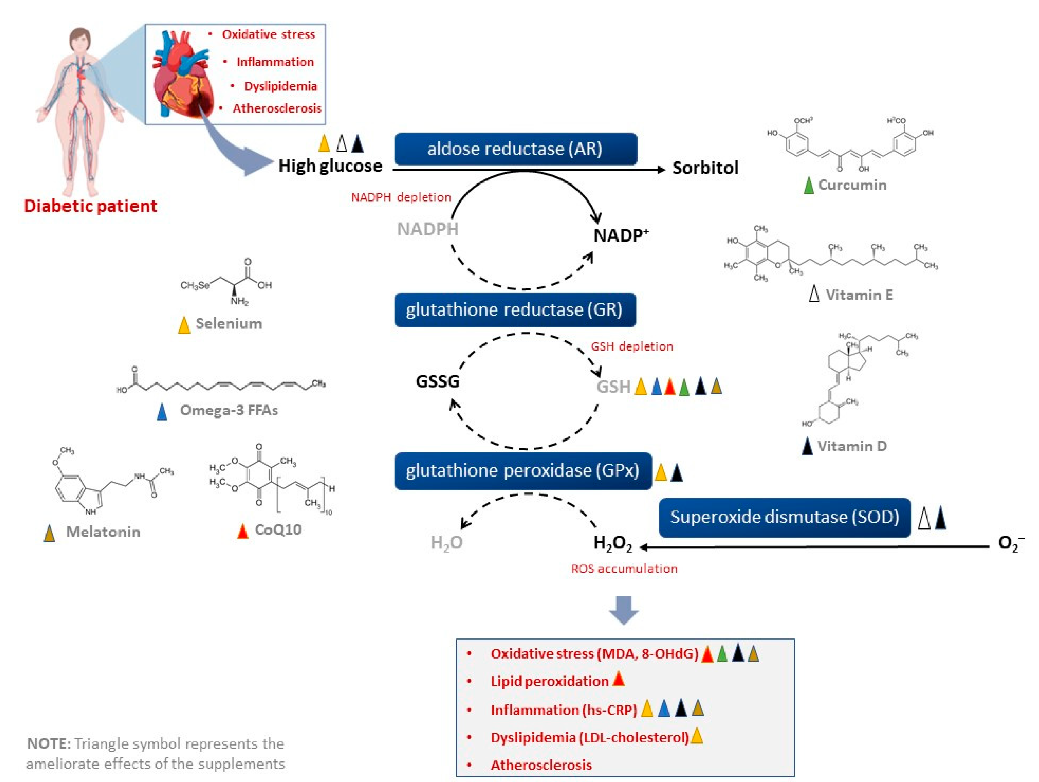 Nutrients 15 00944 g003