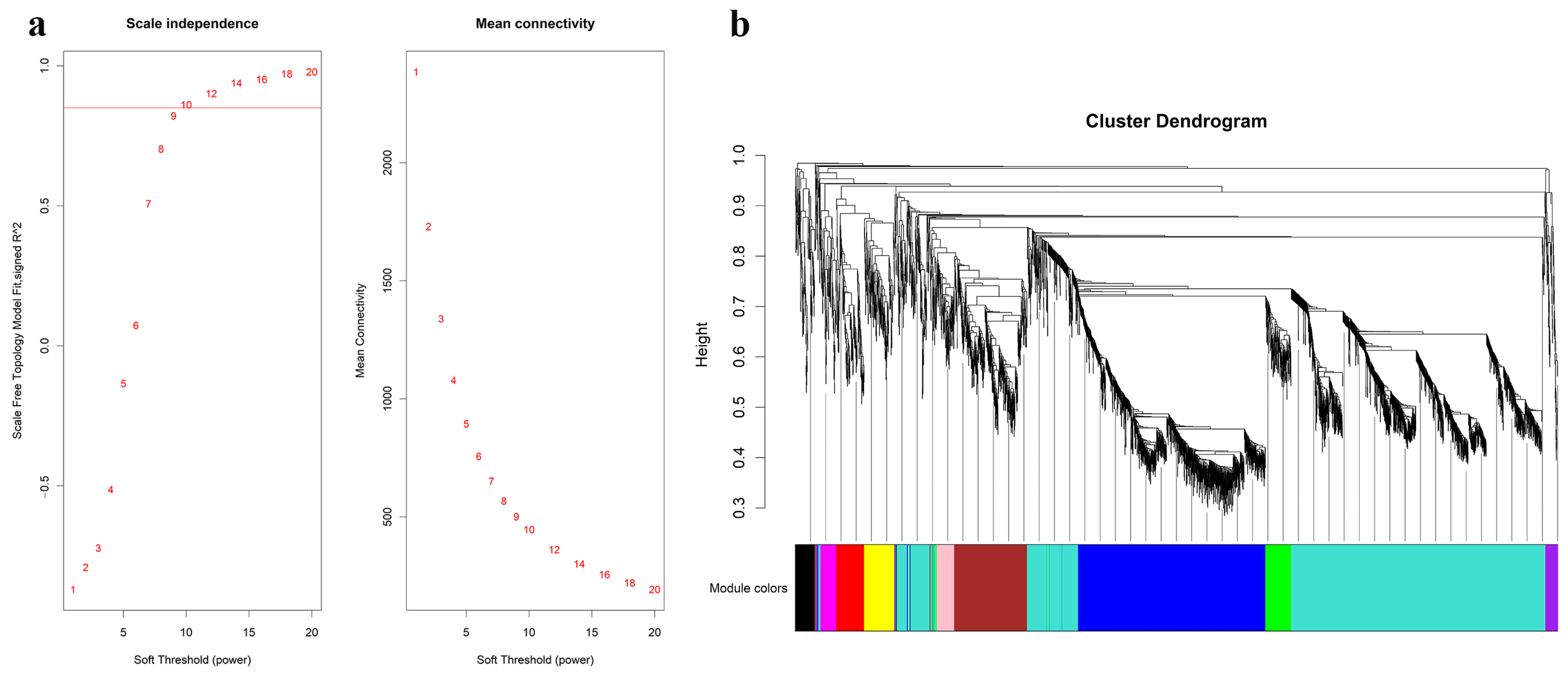 Nutrients 15 00948 g002