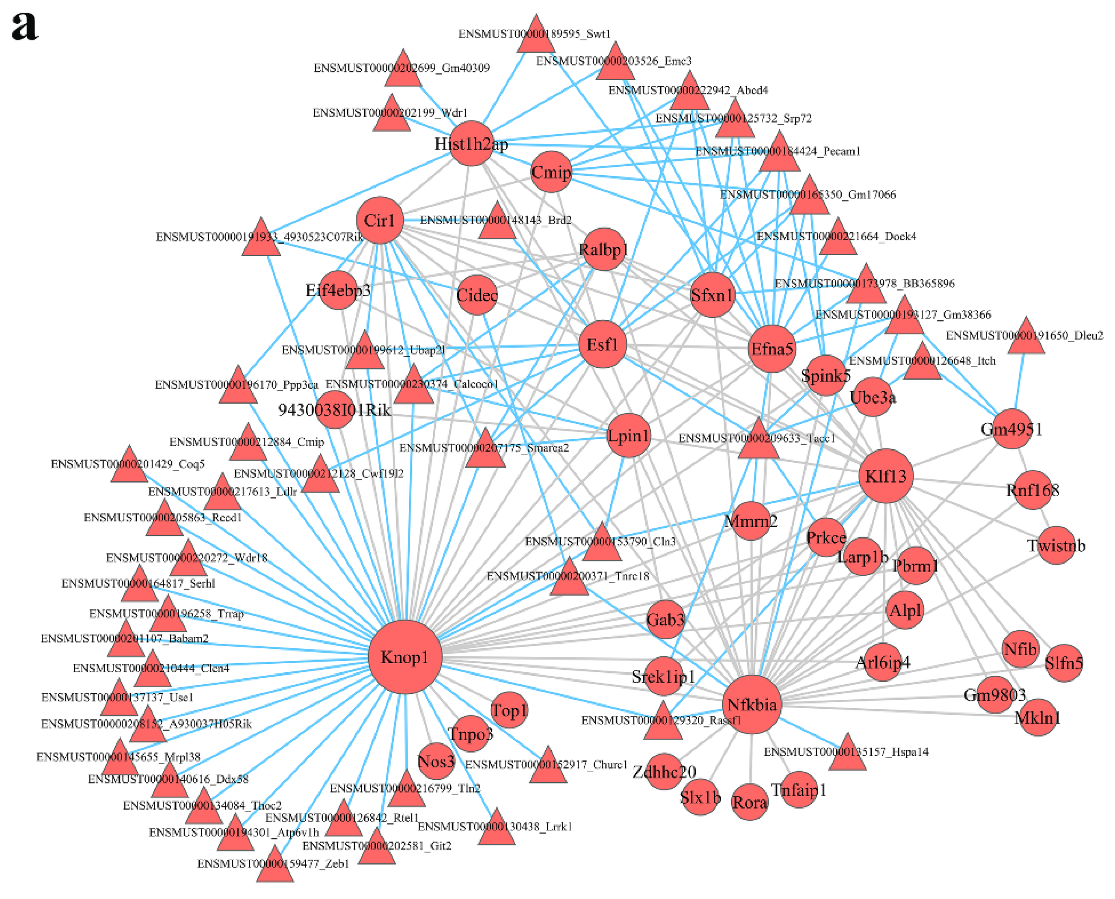 Nutrients 15 00948 g005a