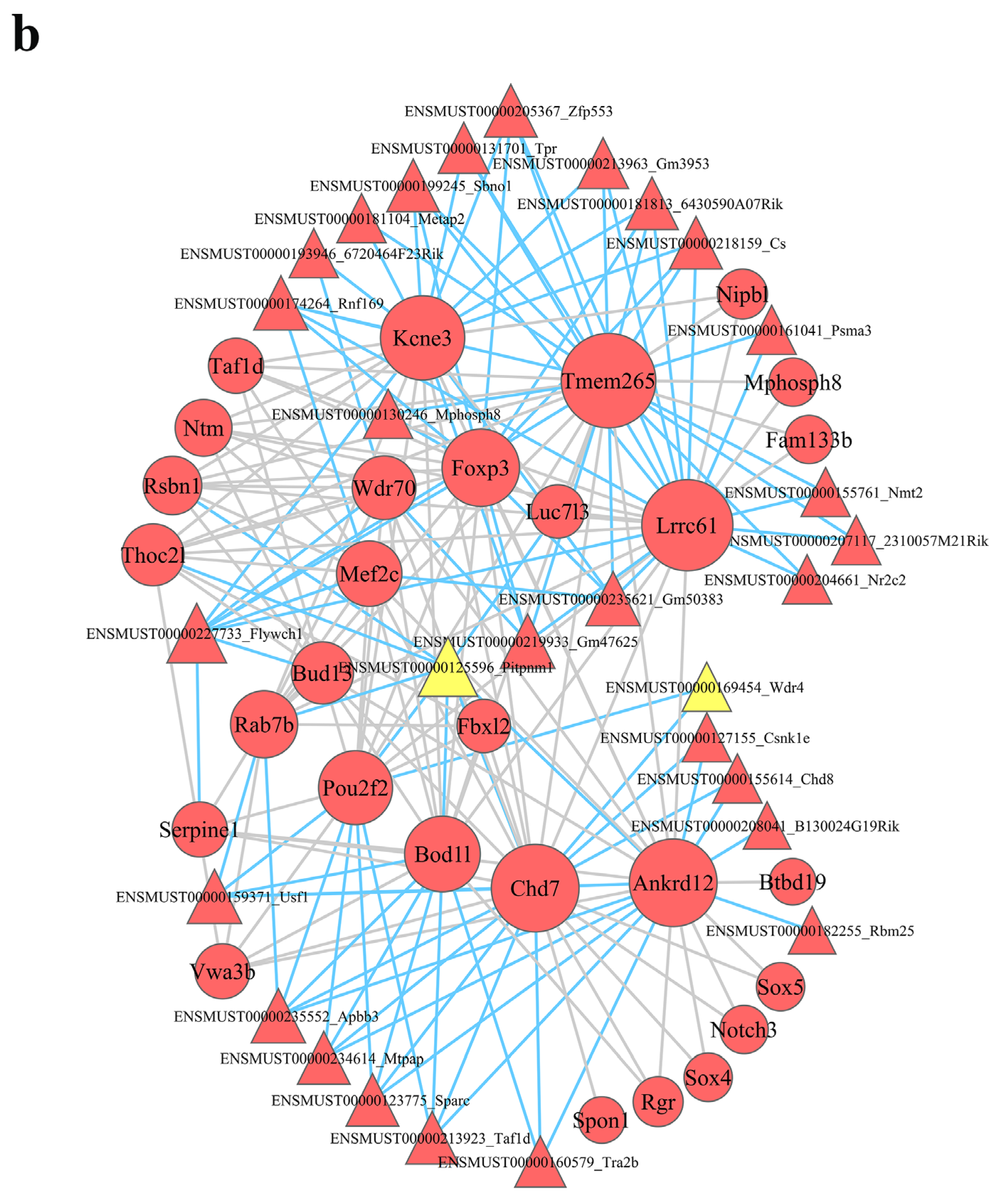 Nutrients 15 00948 g005b