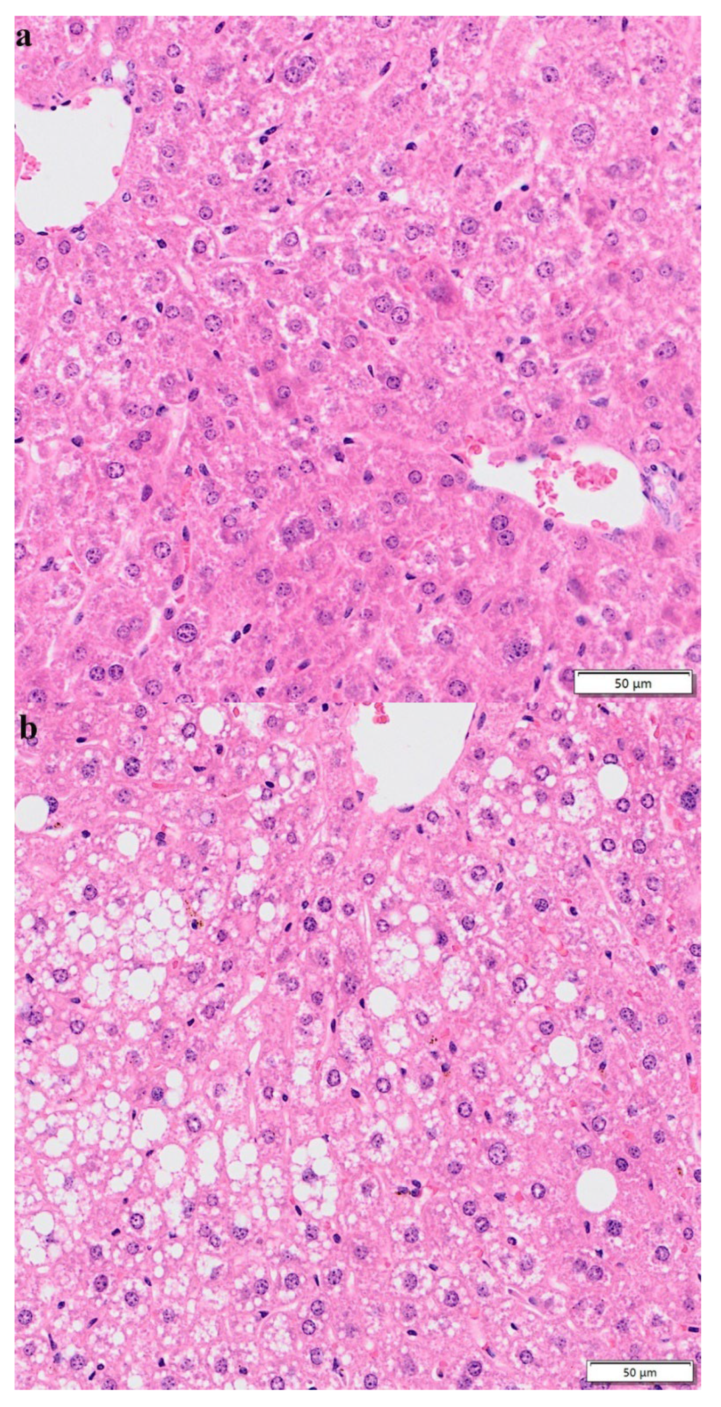 Nutrients 15 00948 g007a