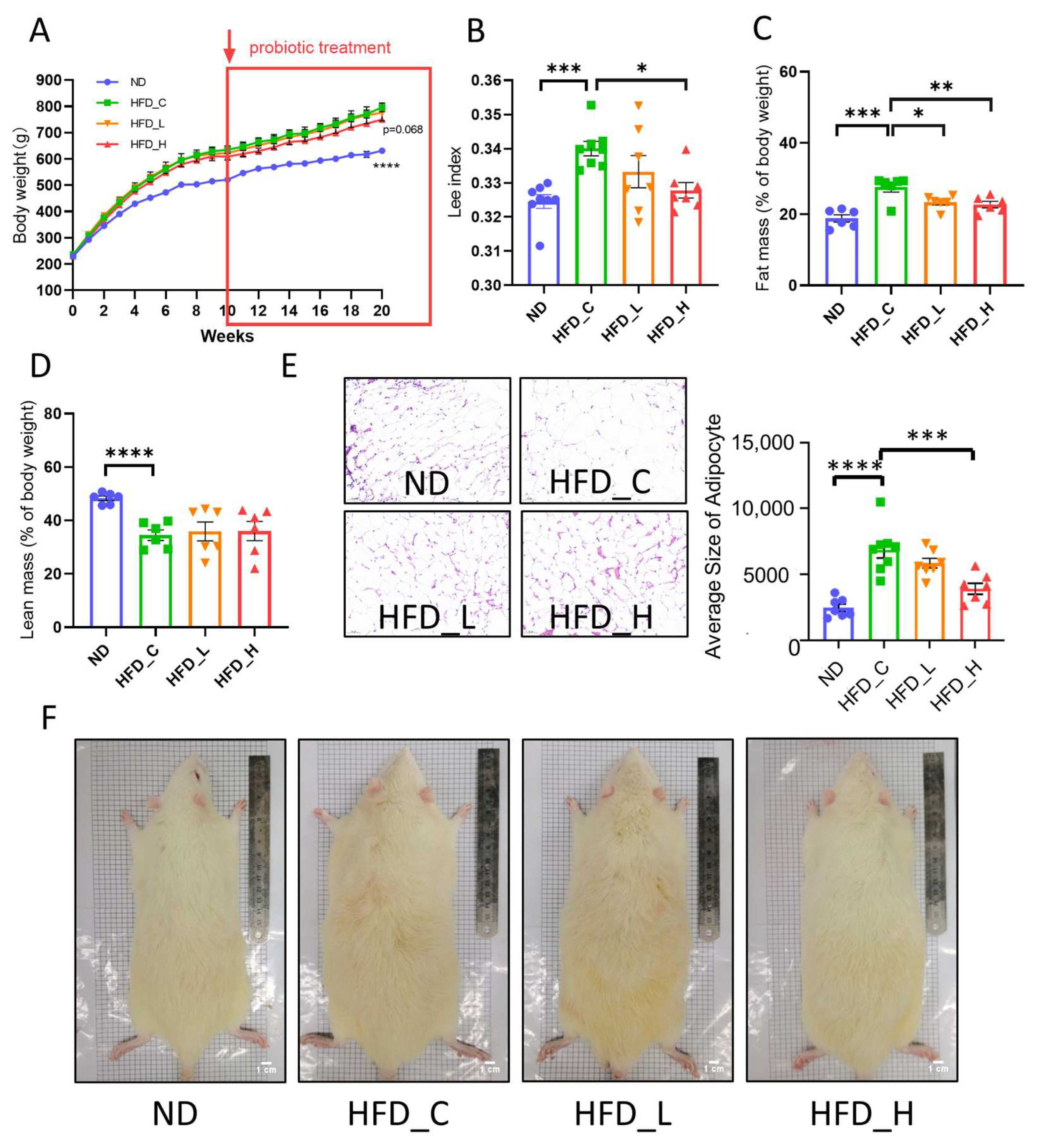 Nutrients 15 00956 g001 Nutrients 15 00956 g001