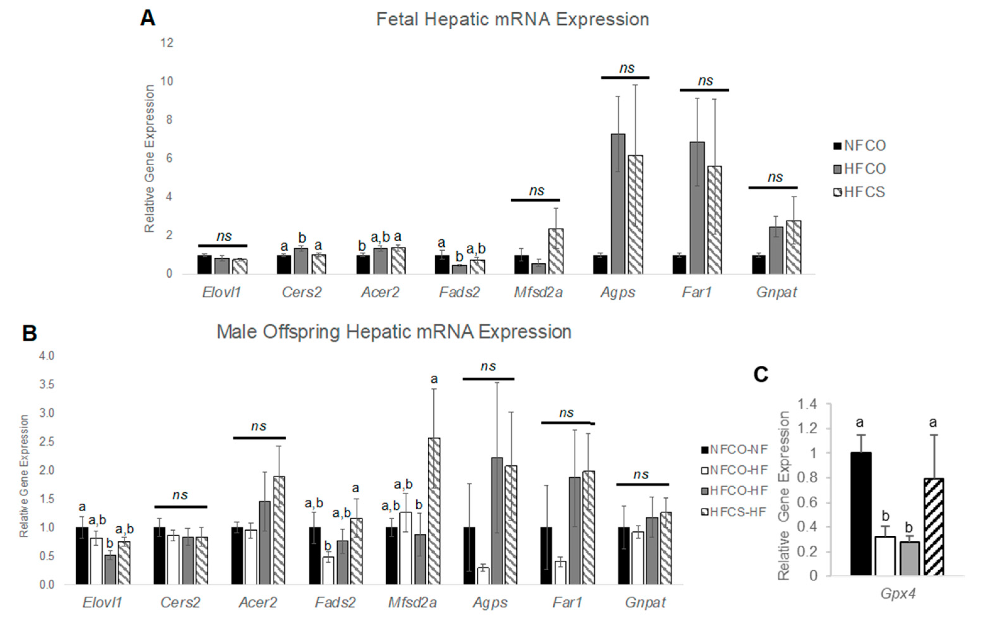 Nutrients 15 00965 g006 Nutrients 15 00965 g006