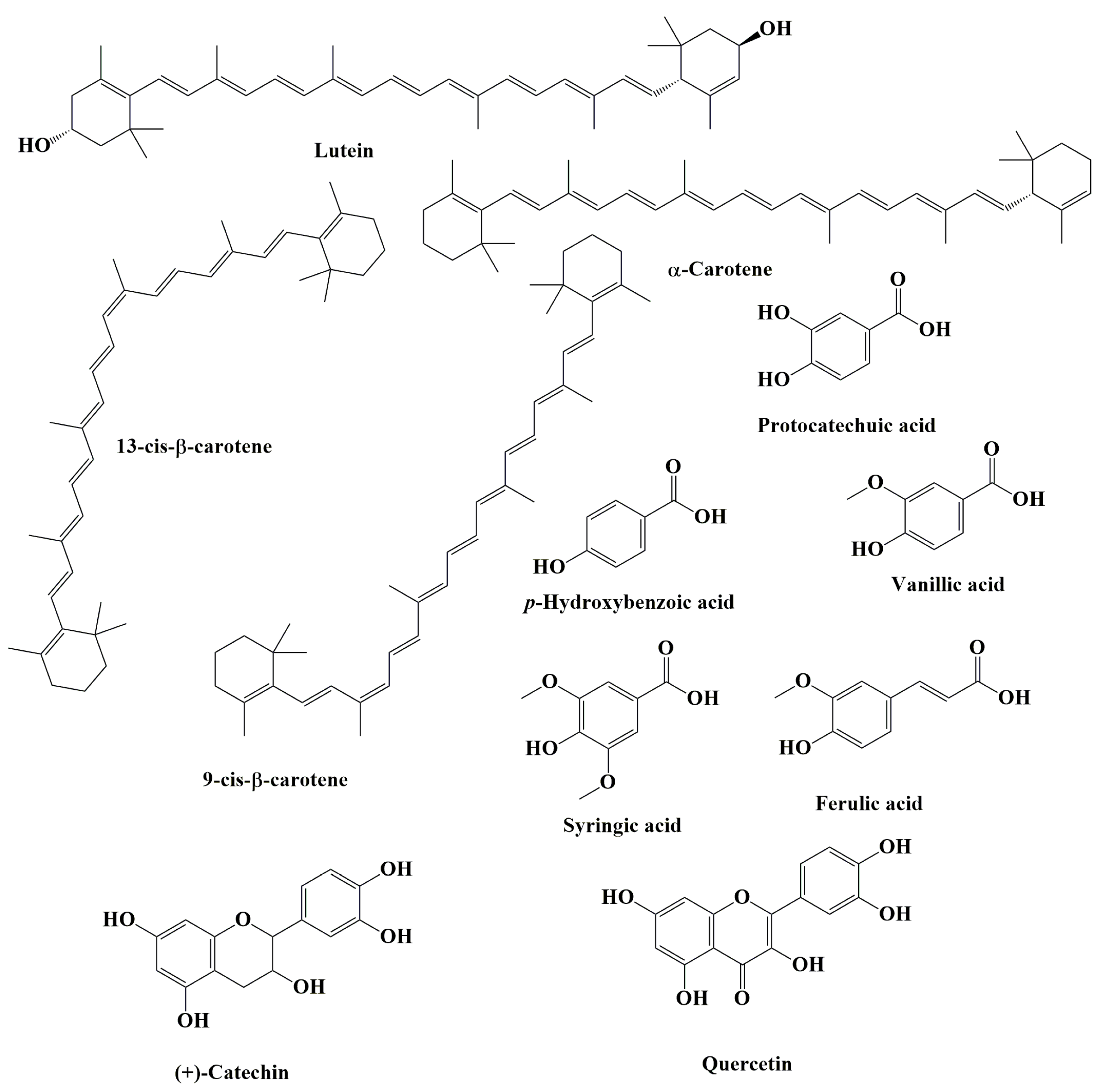Nutrients 15 00989 g003