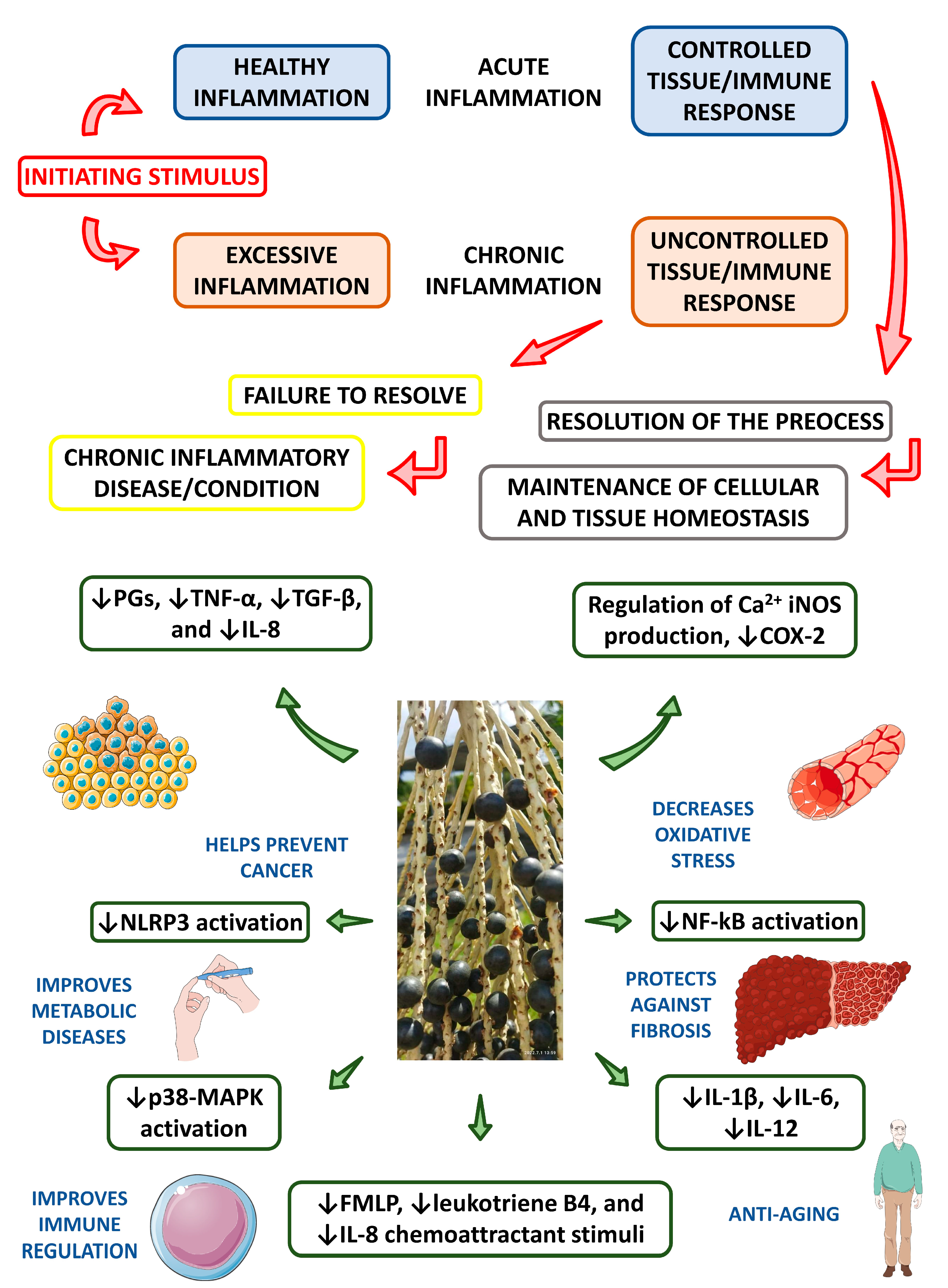 Nutrients 15 00989 g009