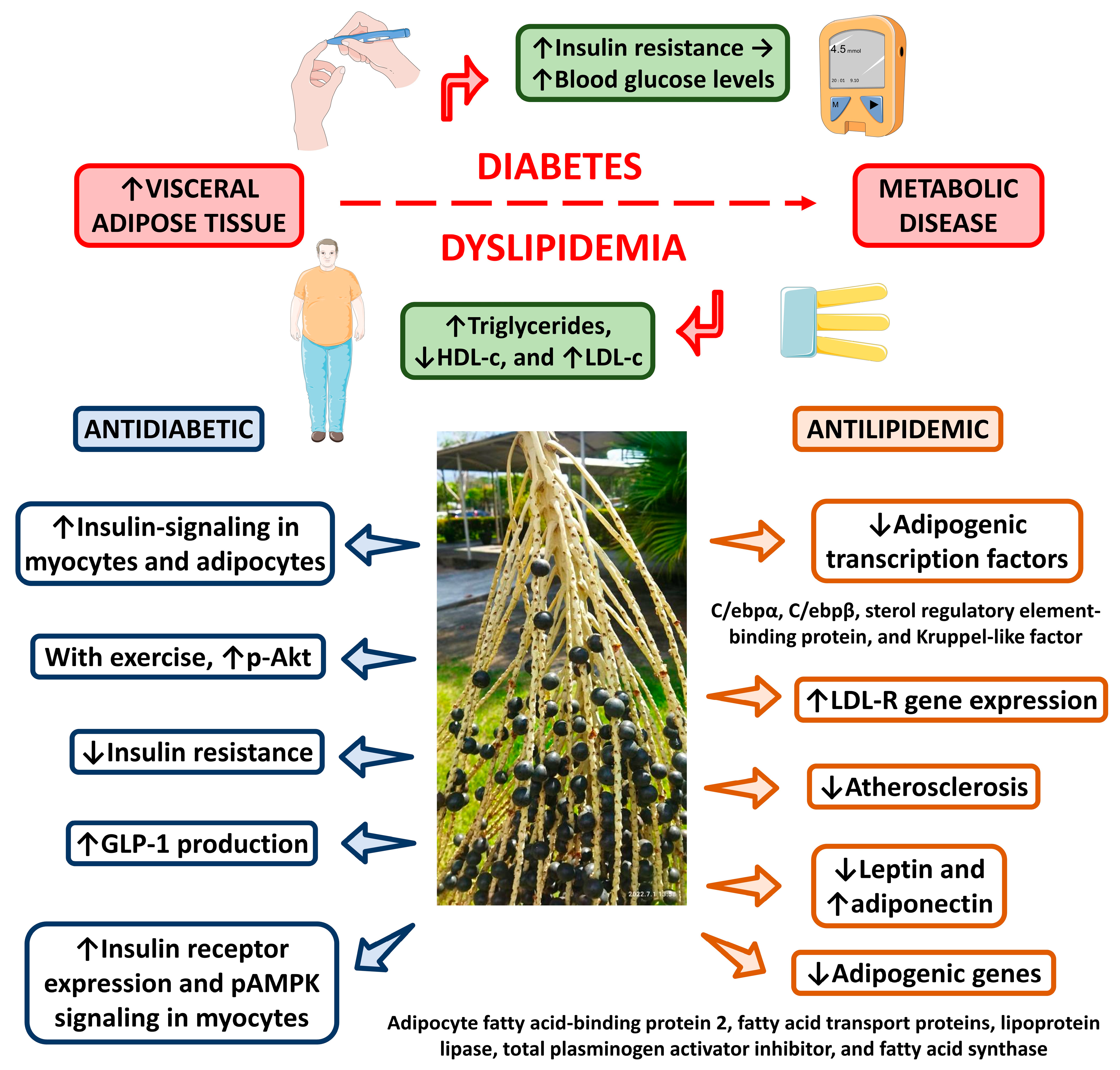 Nutrients 15 00989 g010