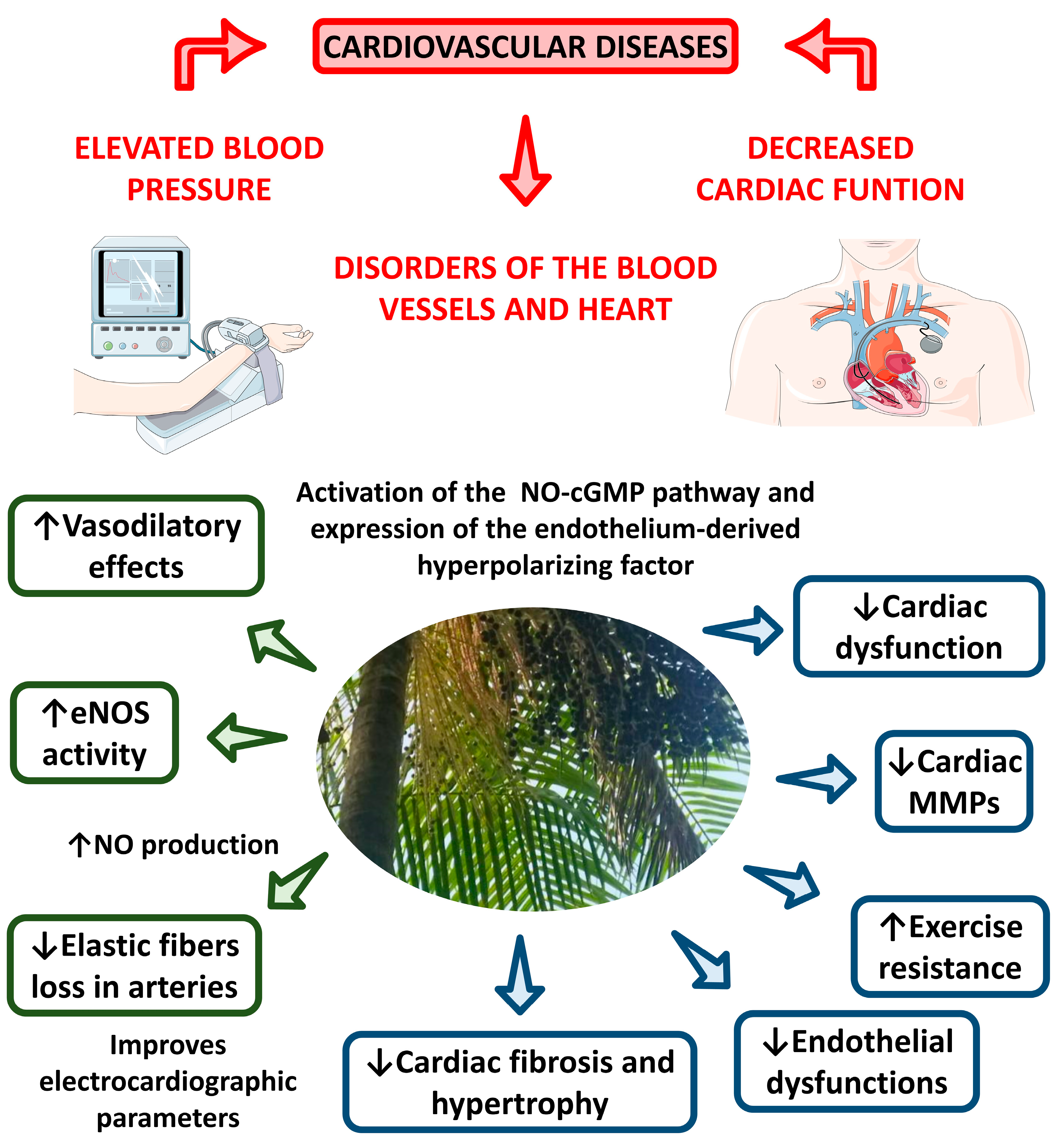 Nutrients 15 00989 g011