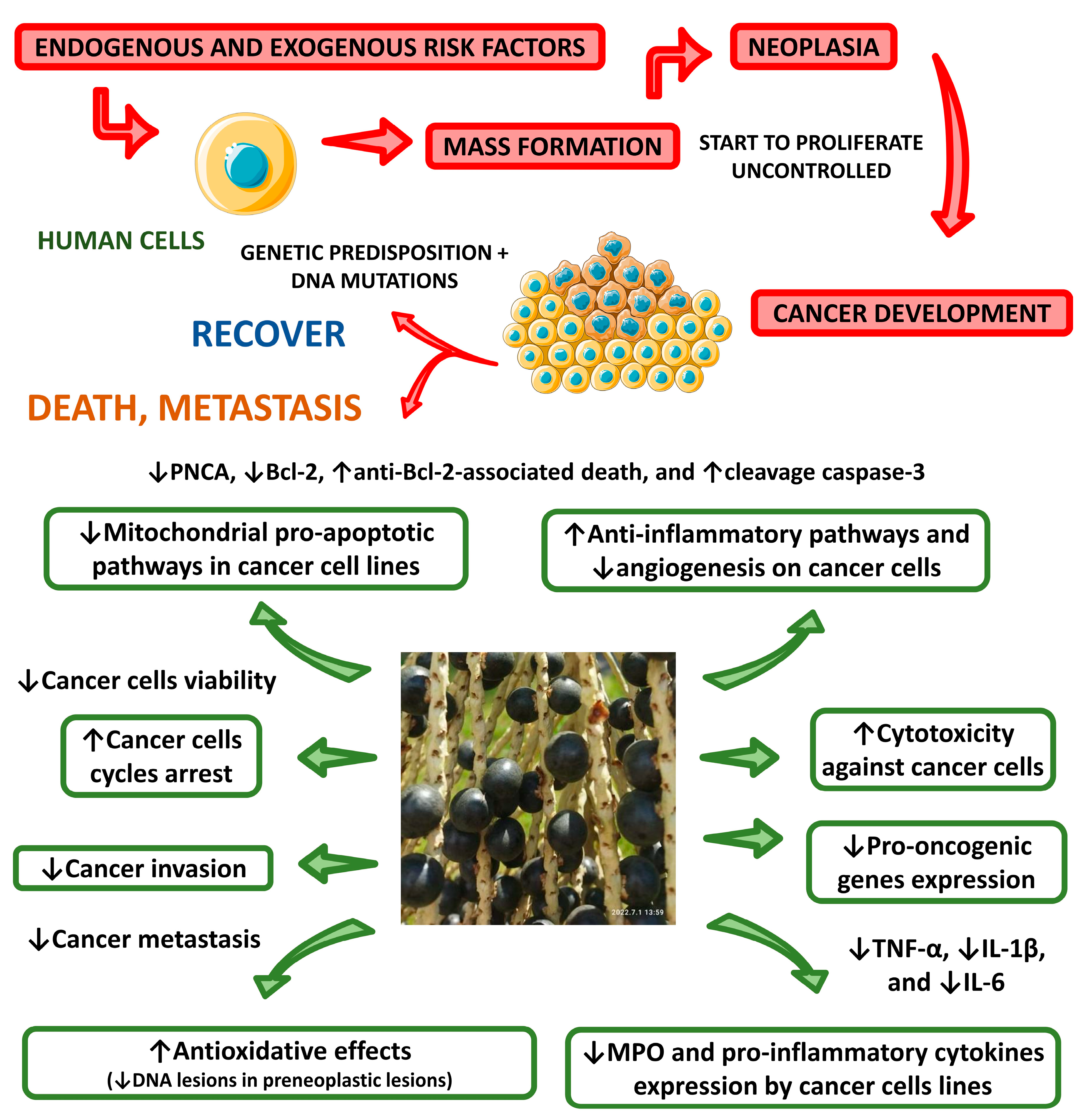 Nutrients 15 00989 g012