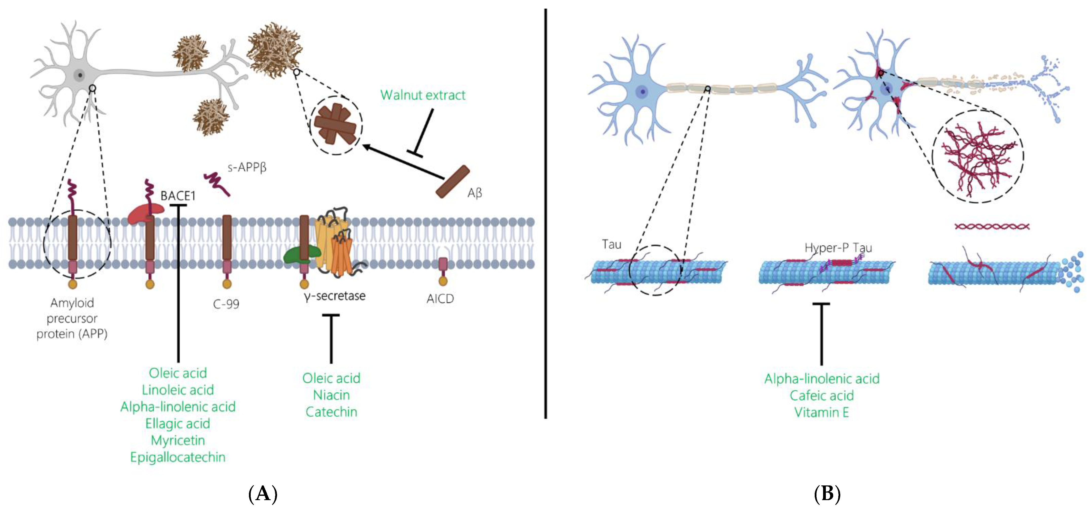 Nutrients 15 01000 g001