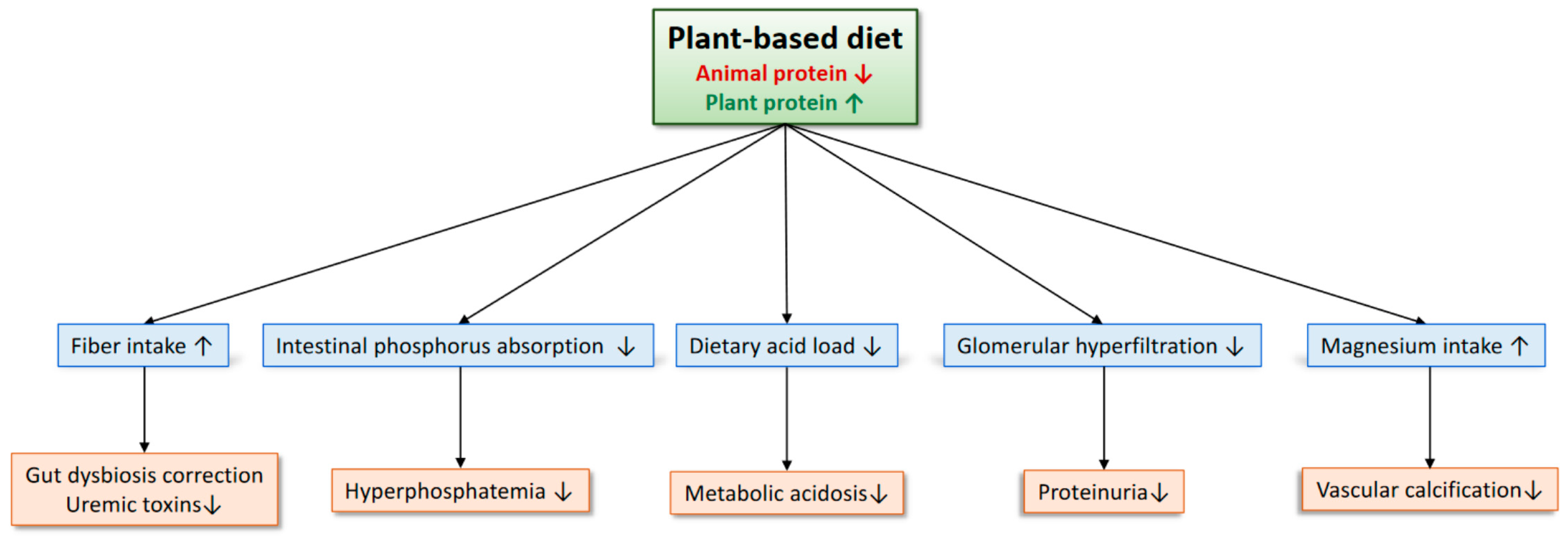Nutrients 15 01002 g001