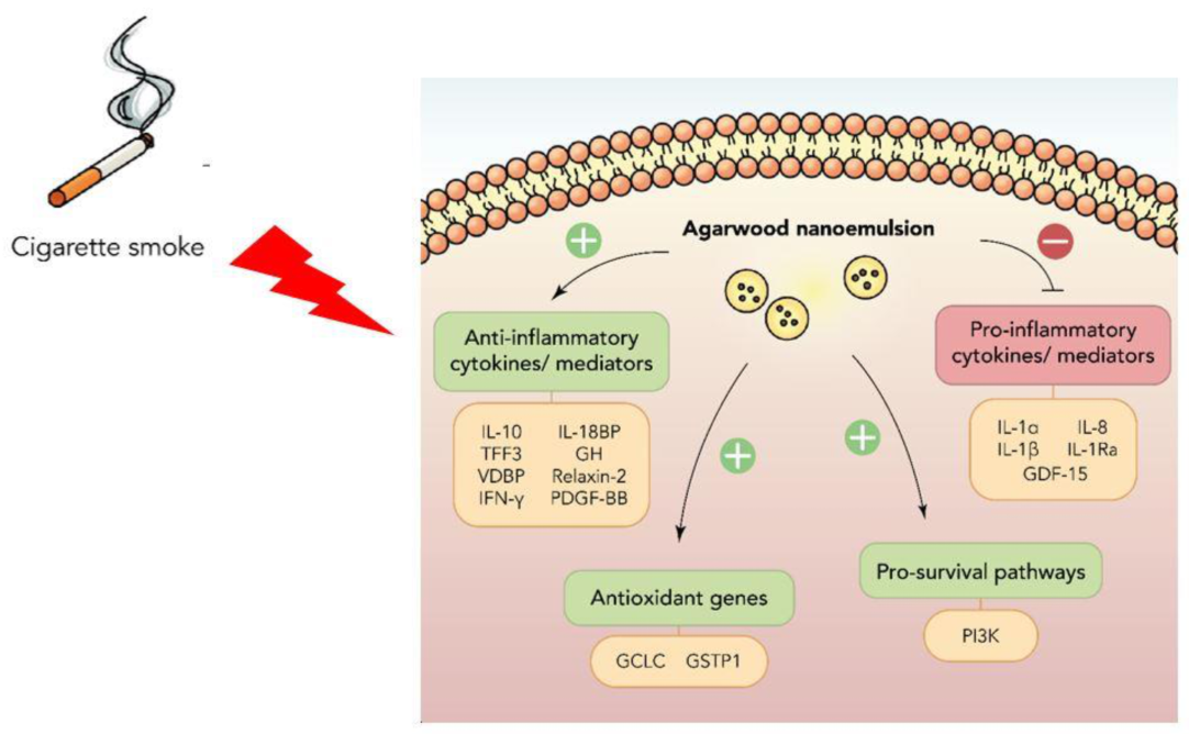 Nutrients 15 01019 g007