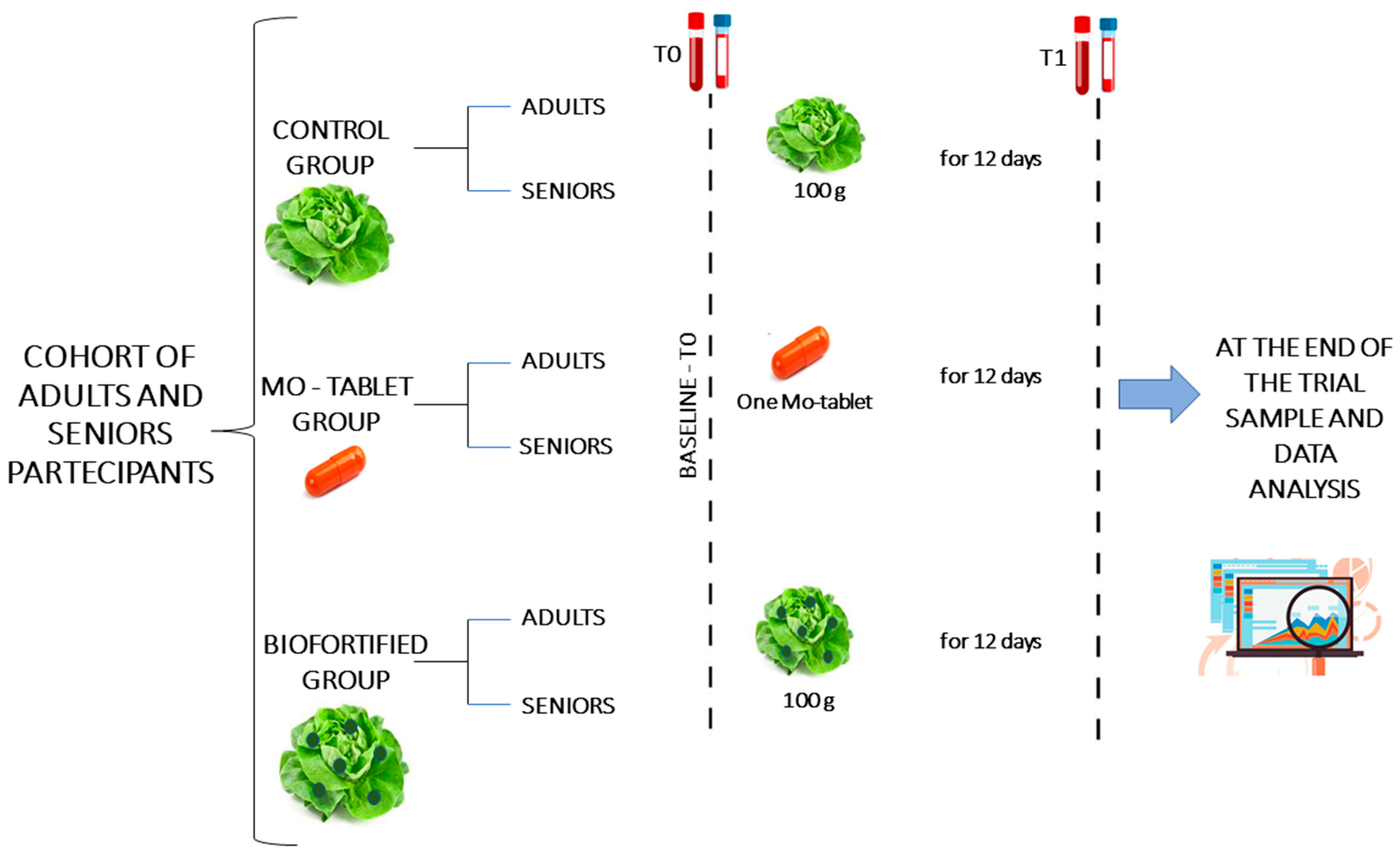 Nutrients 15 01022 g002 Nutrients 15 01022 g002