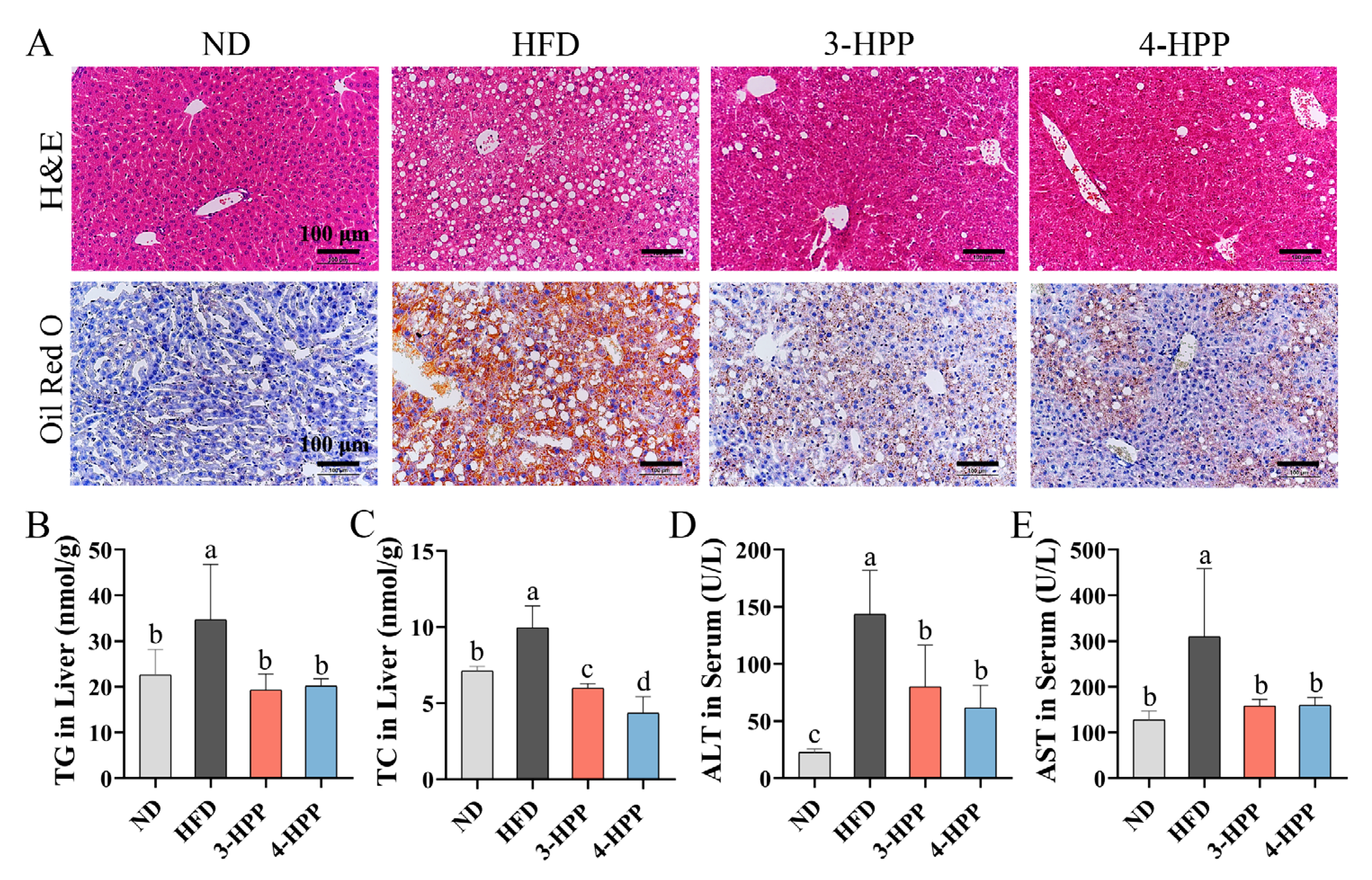 Nutrients 15 01043 g002