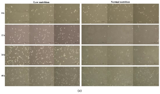 Nutrients 15 01051 g008a Nutrients 15 01051 g008a