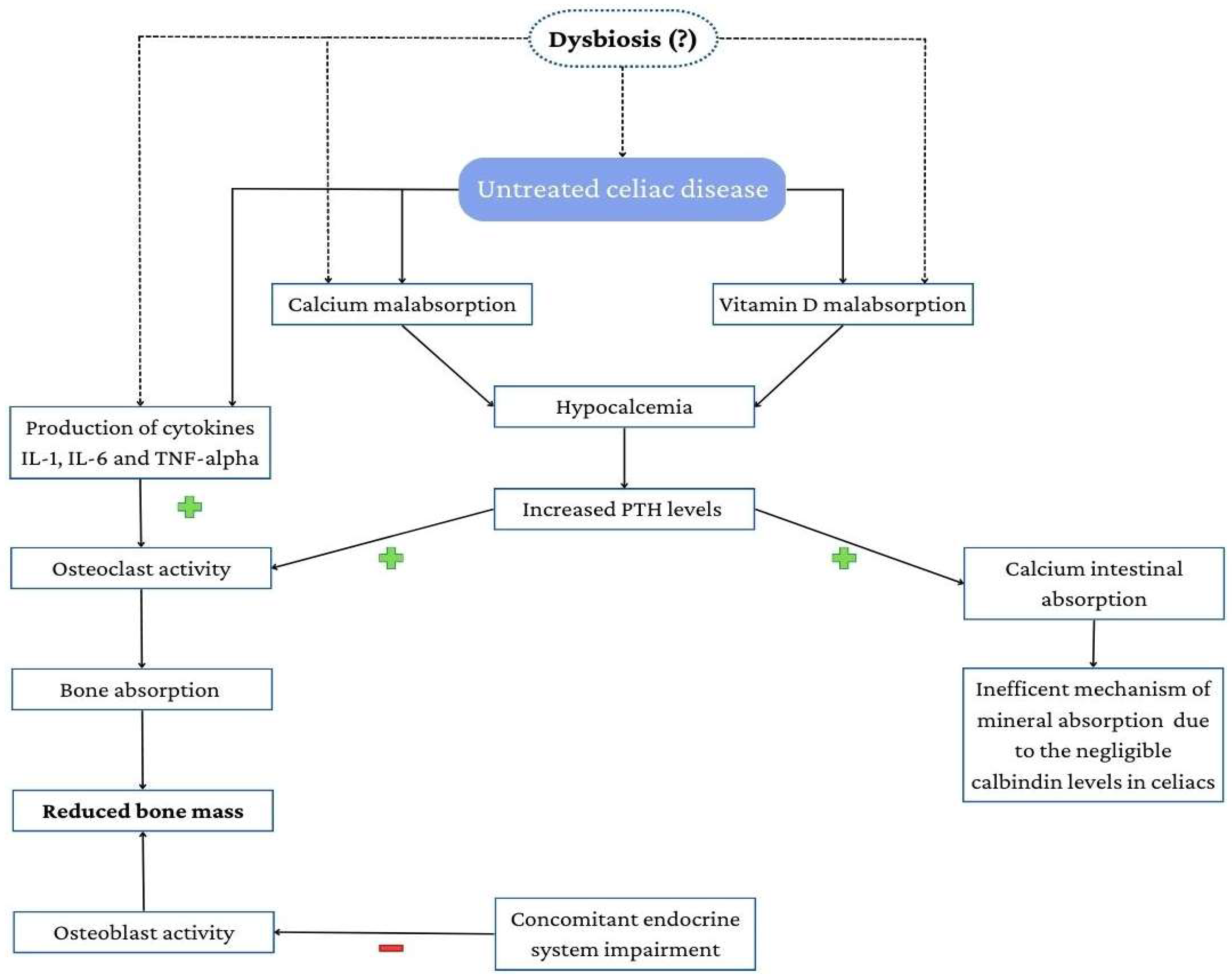 Nutrients 15 01089 g001