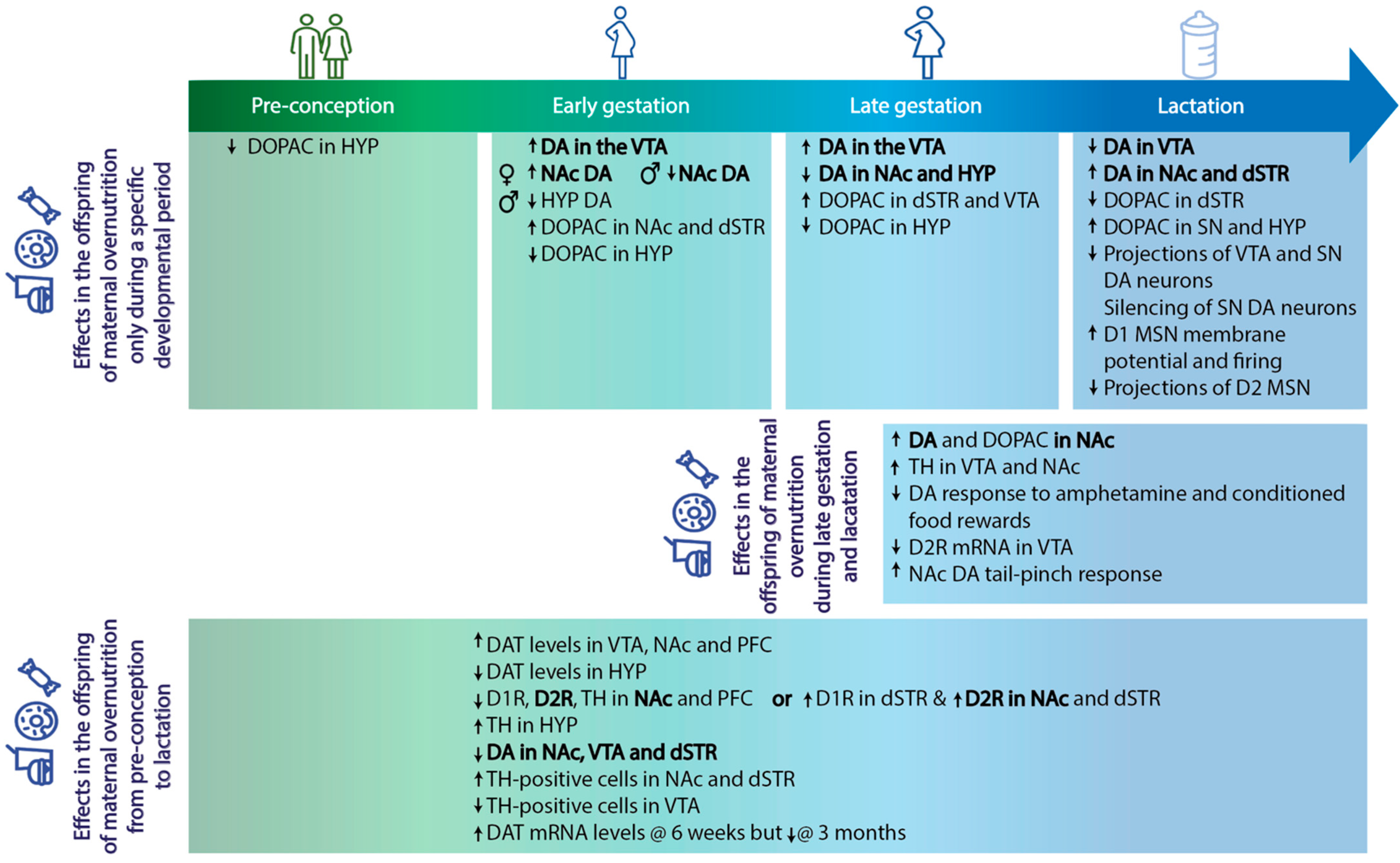 Nutrients 15 01095 g001