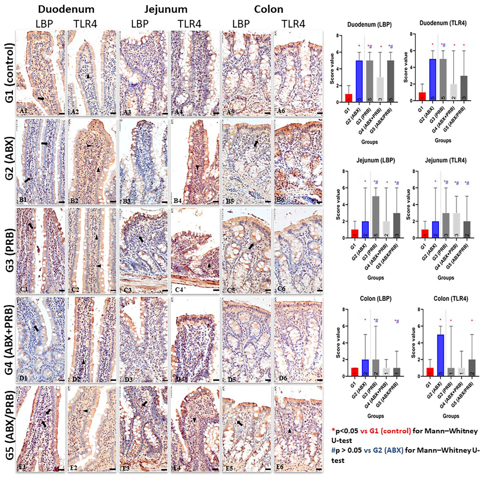 Nutrients 15 01105 g004