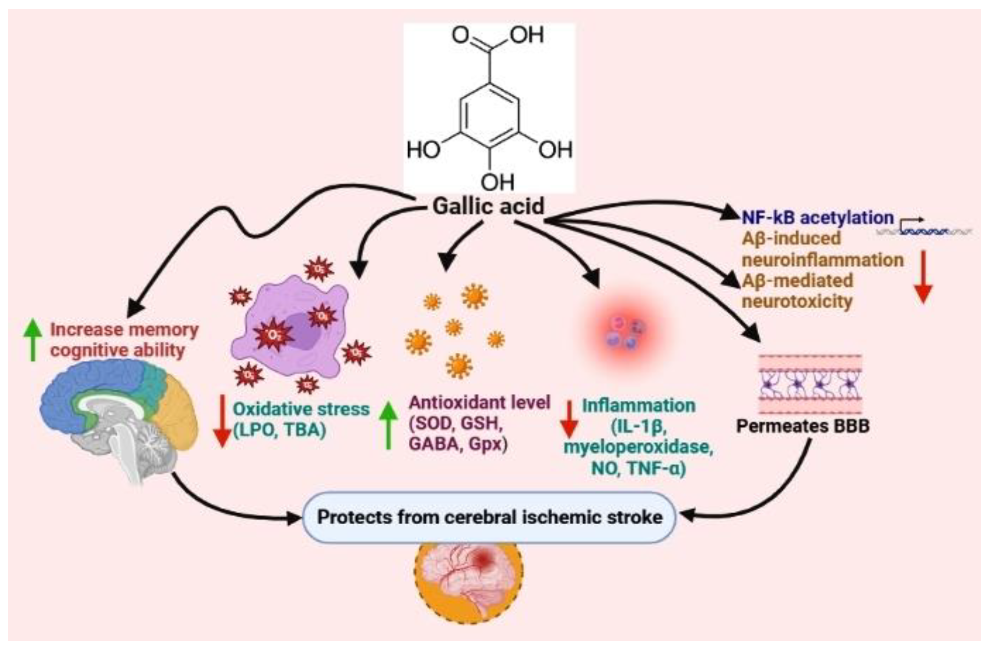 Nutrients 15 01107 g001