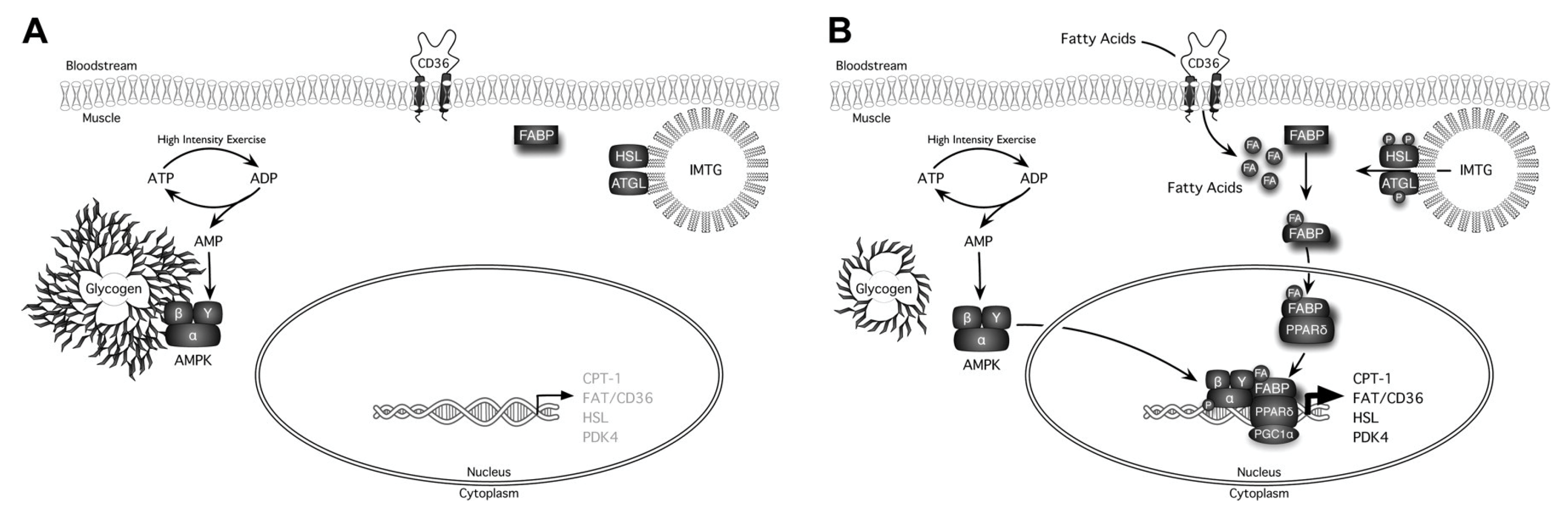 Nutrients 15 01109 g006
