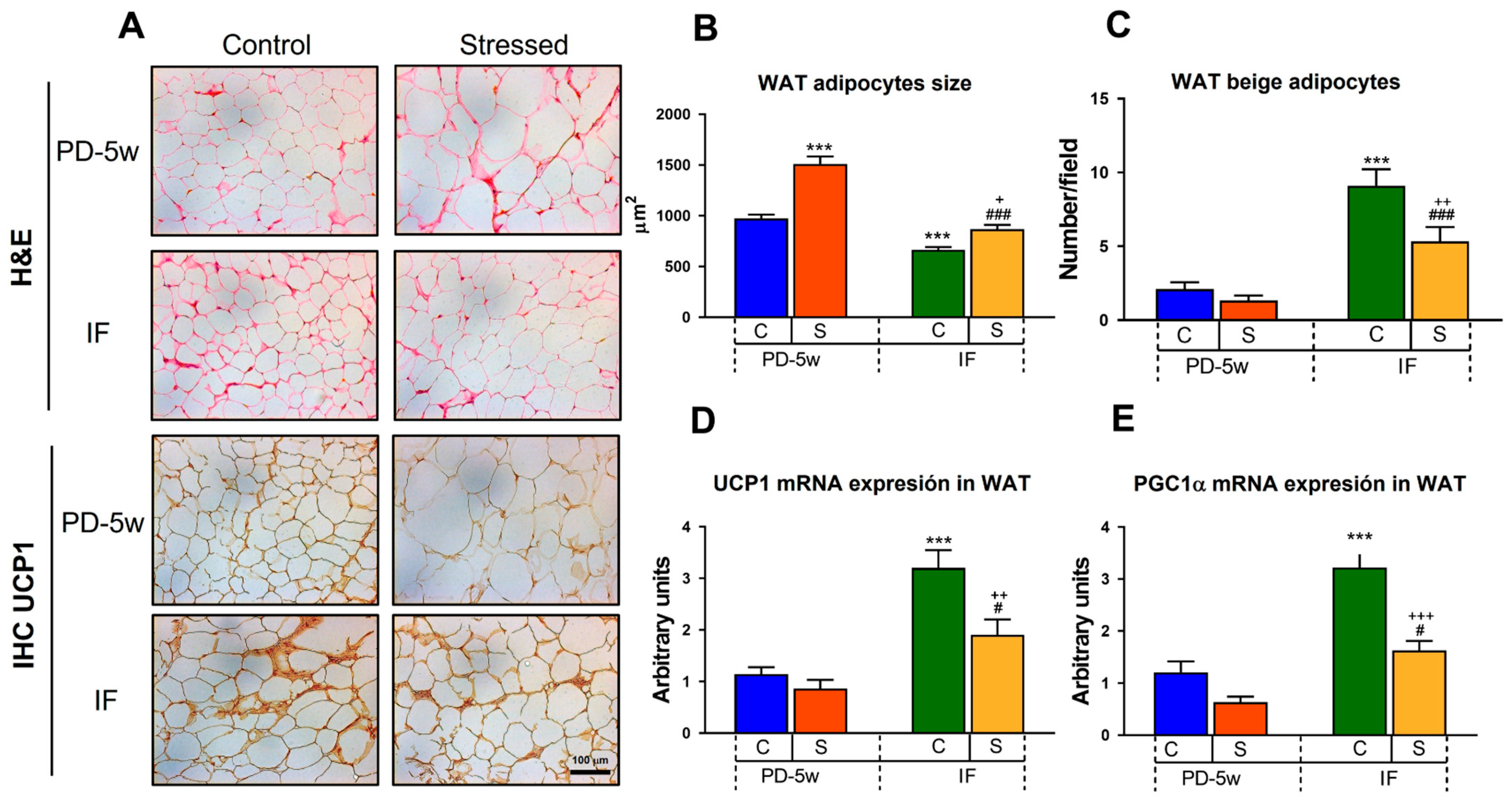 Nutrients 15 01164 g005