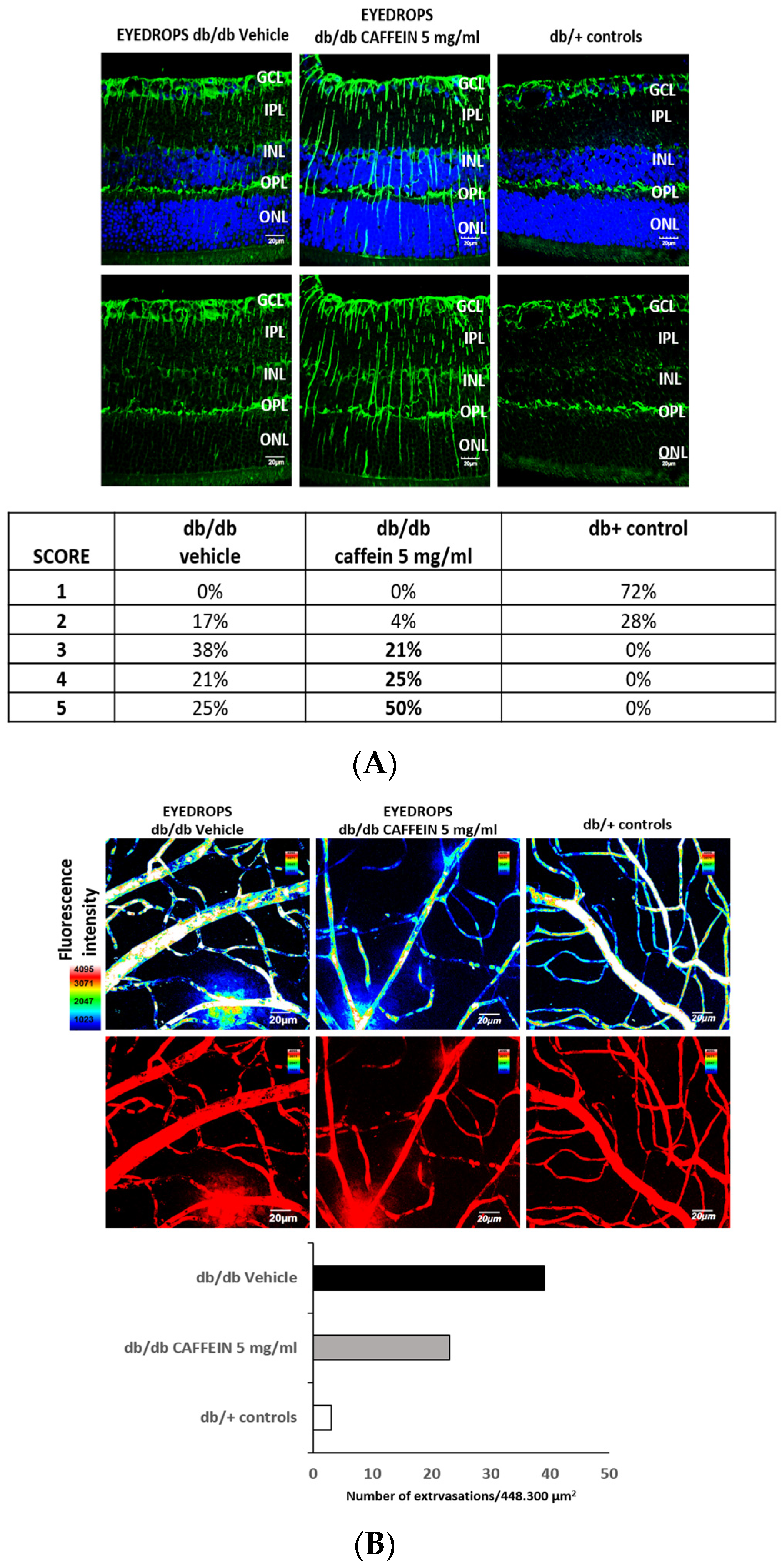 Nutrients 15 01169 g001 Nutrients 15 01169 g001