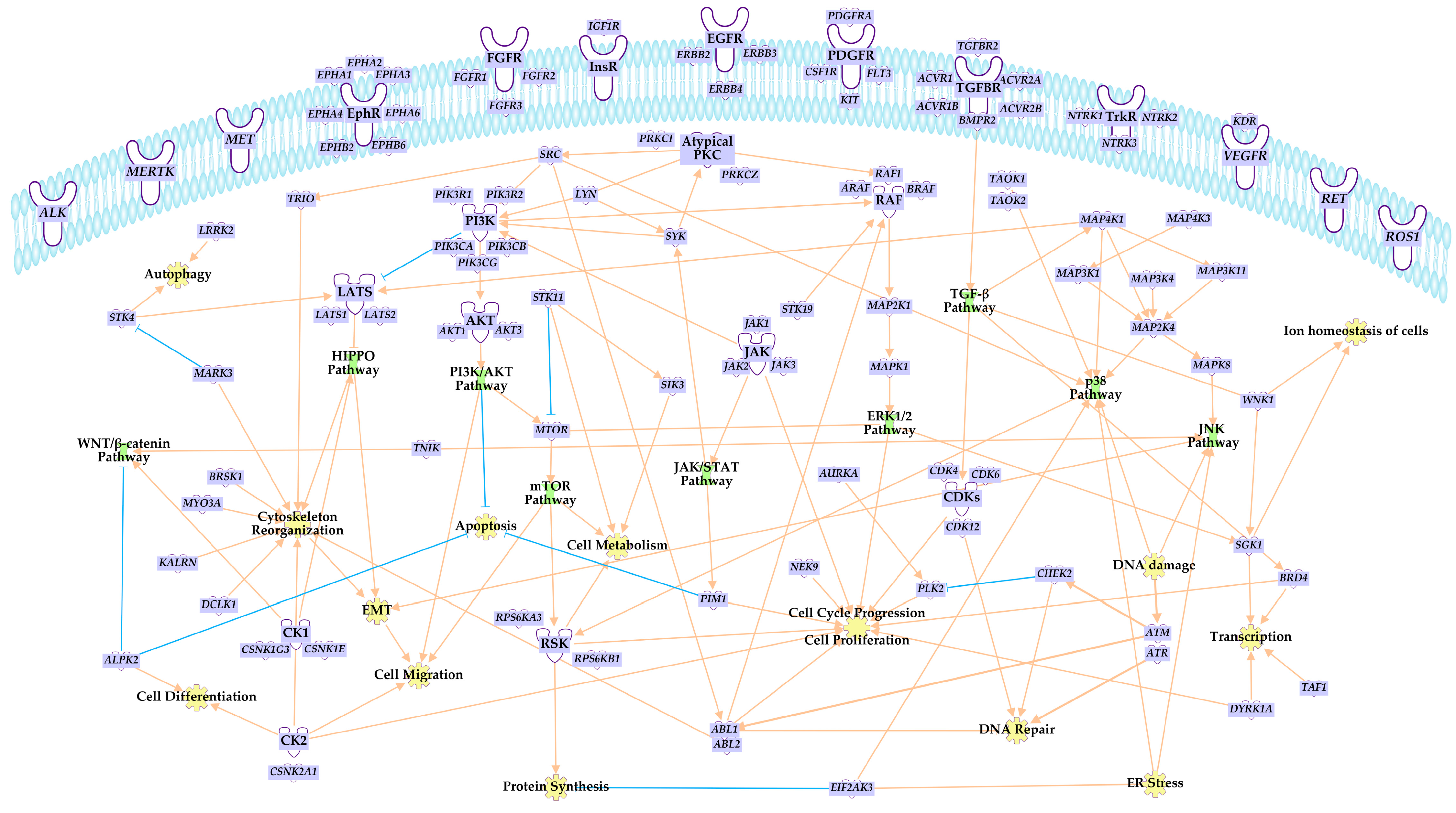 Nutrients 15 01192 g002