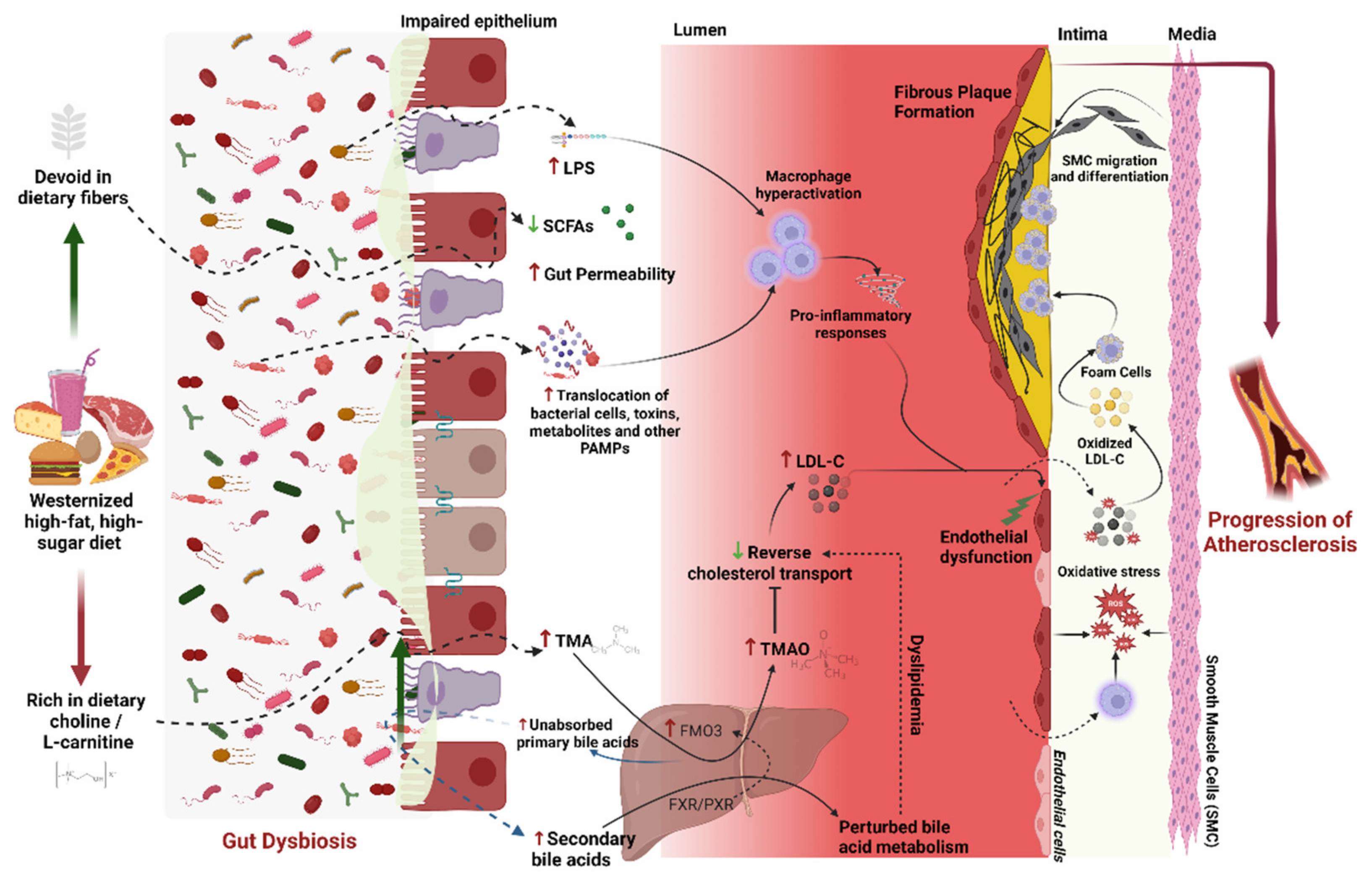 Nutrients 15 01212 g001