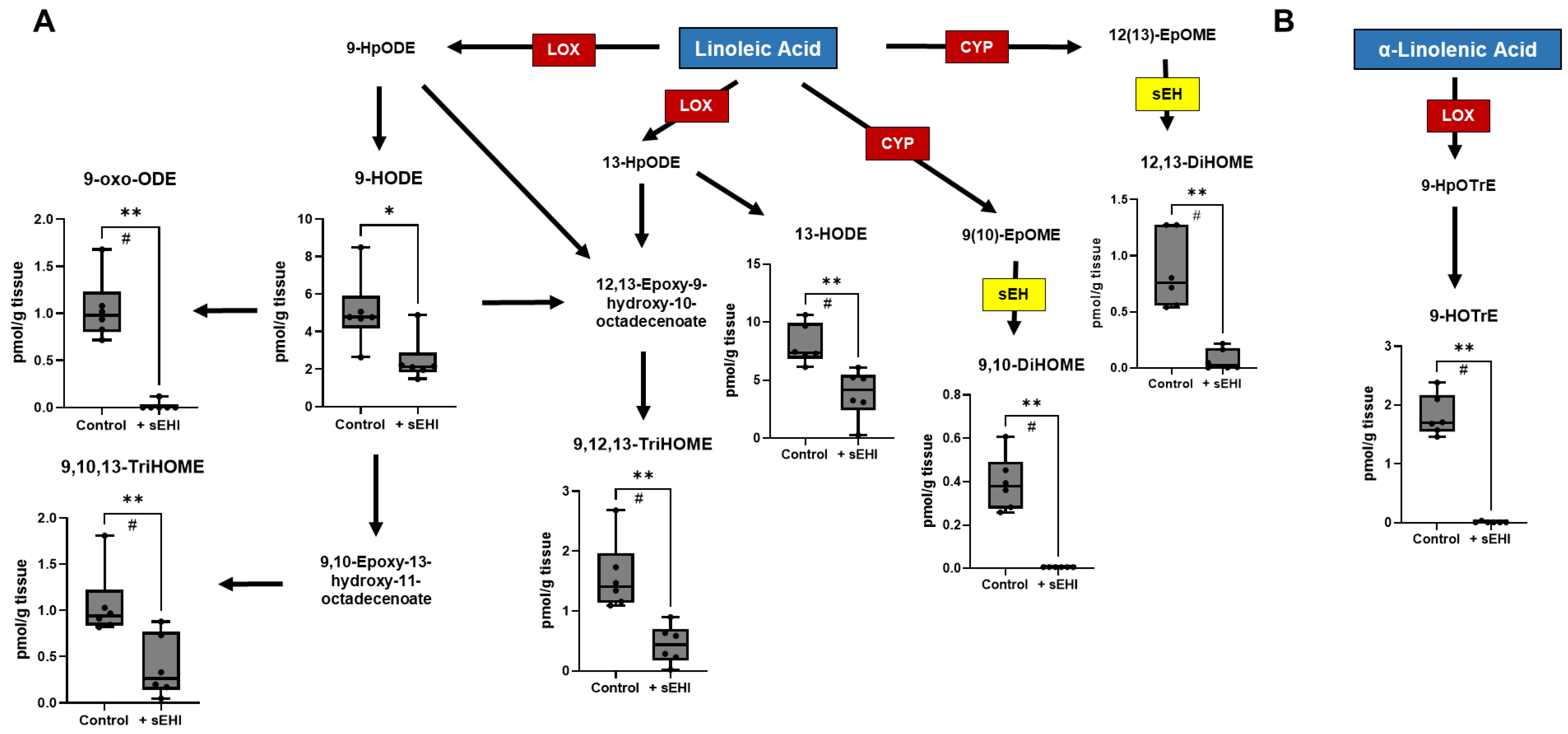 Nutrients 15 01214 g004