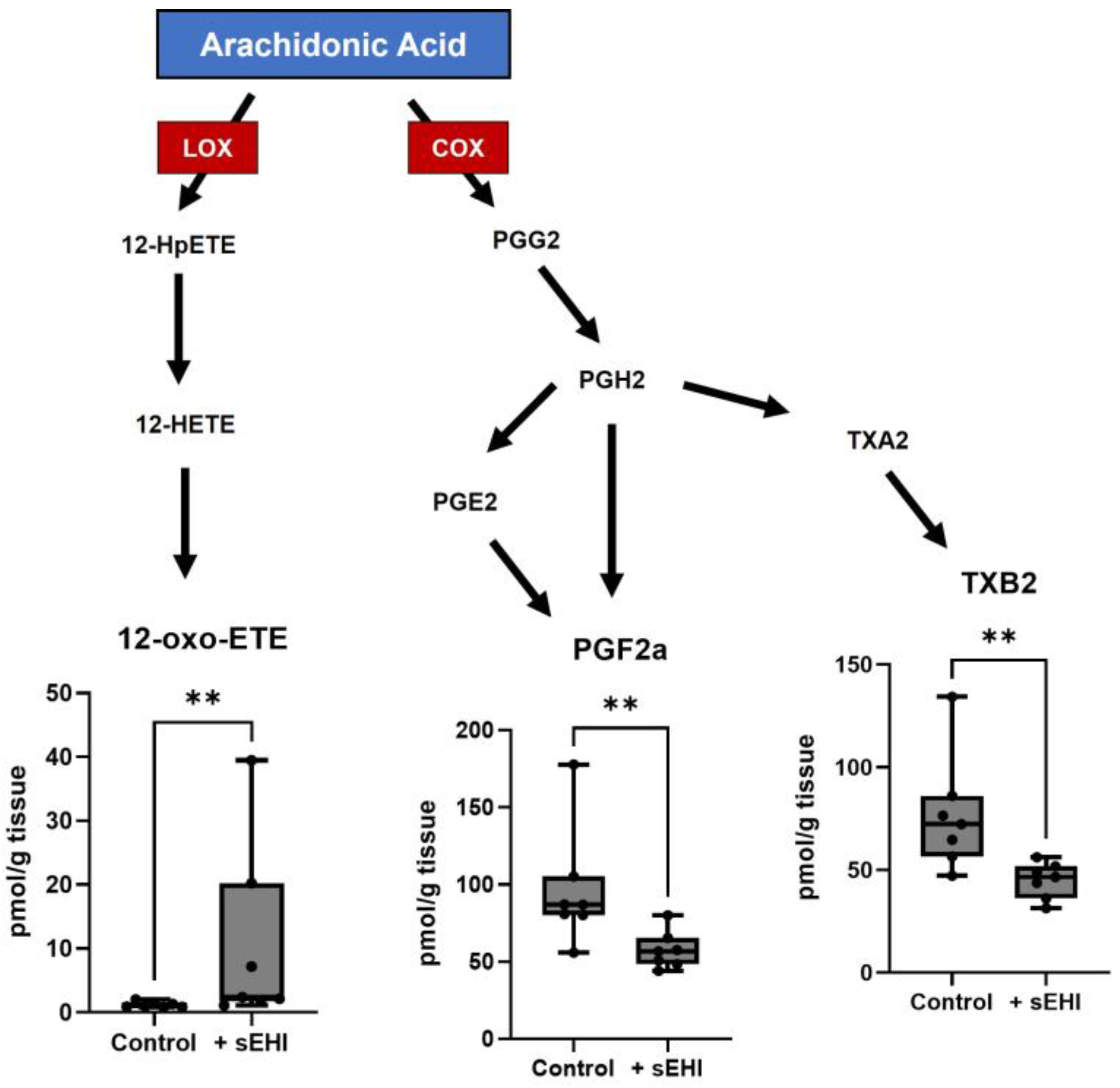 Nutrients 15 01214 g005