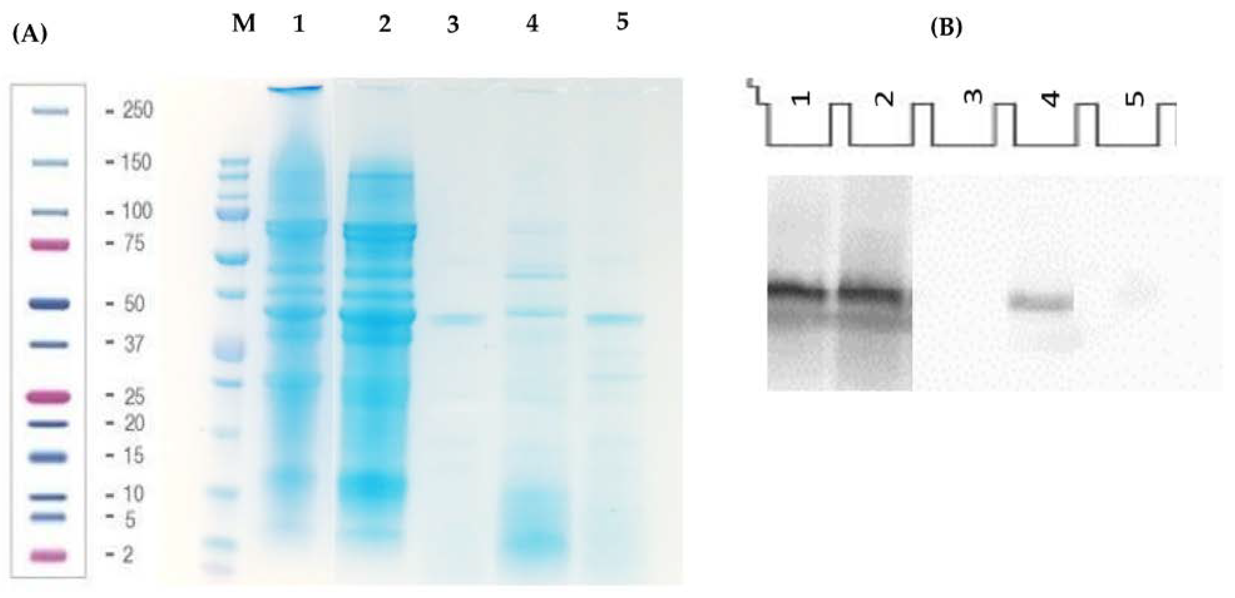 Nutrients 15 01220 g001