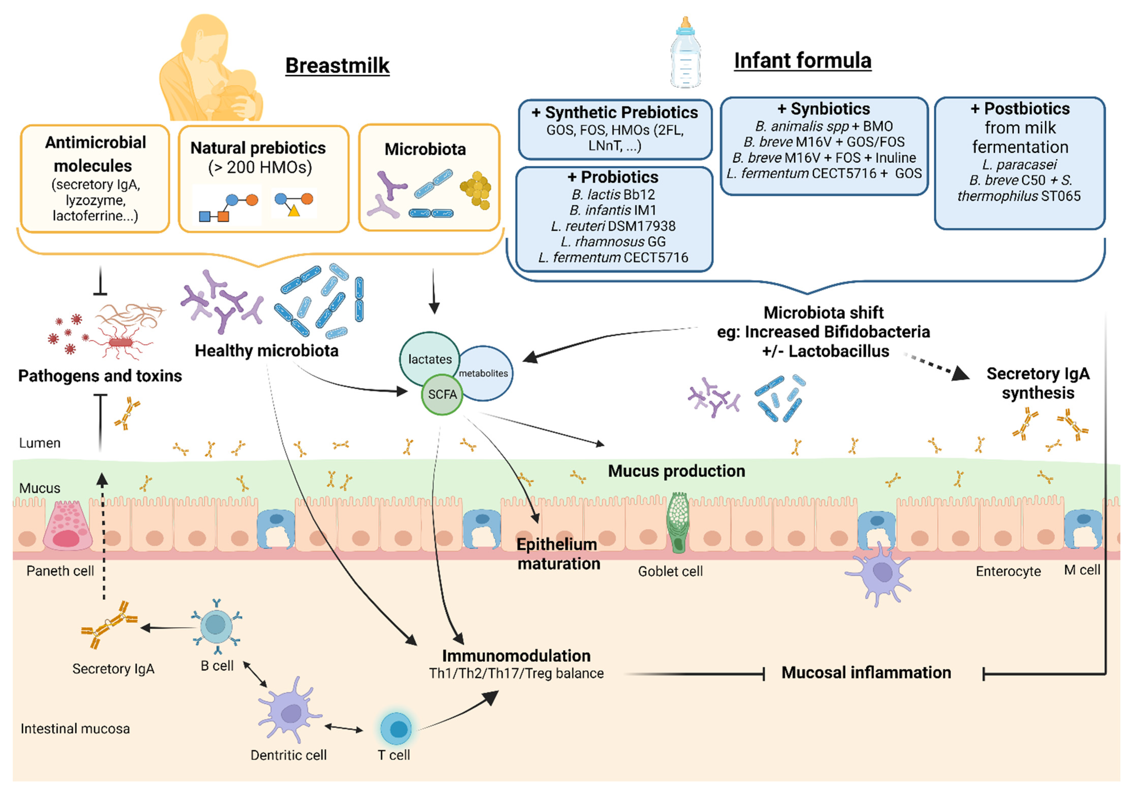 Nutrients 15 01231 g002