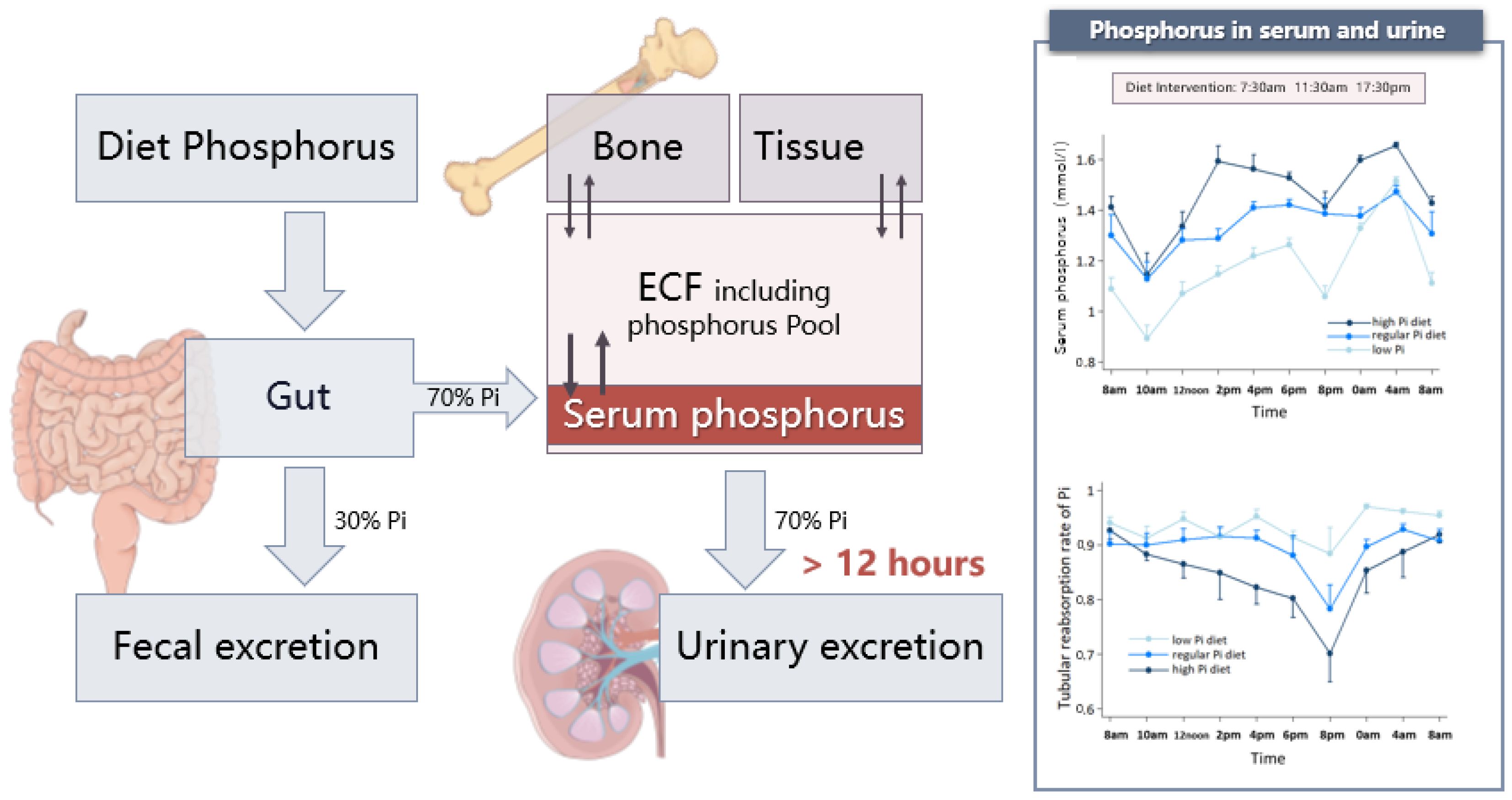 Nutrients 15 01236 g003