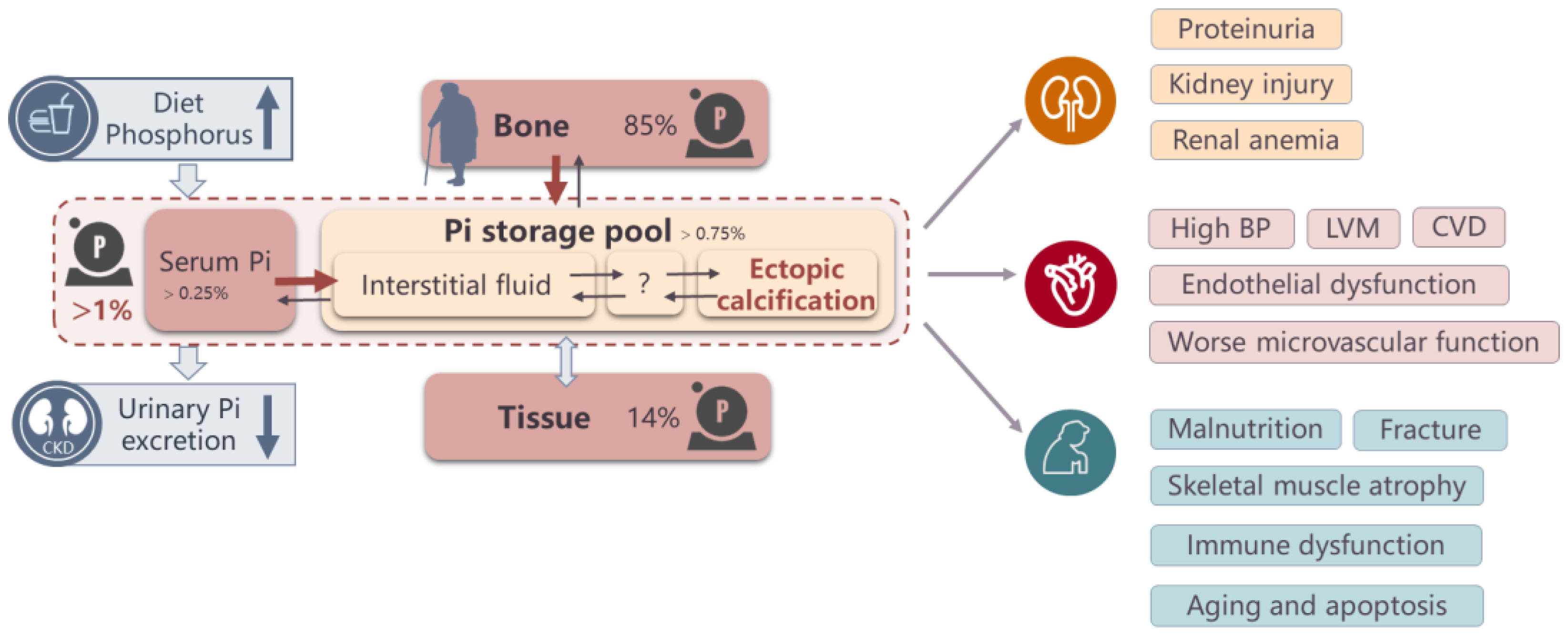Nutrients 15 01236 g005