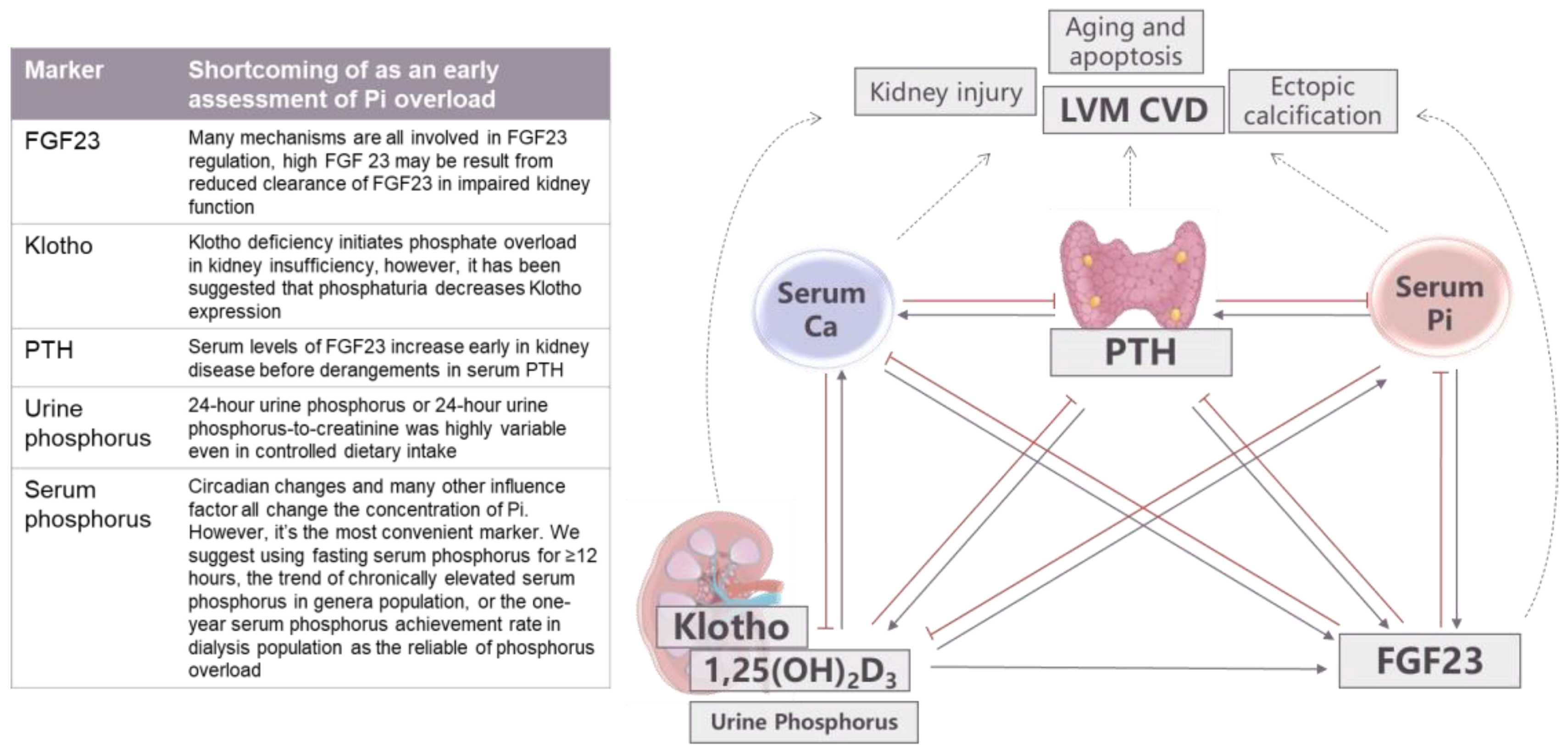 Nutrients 15 01236 g006