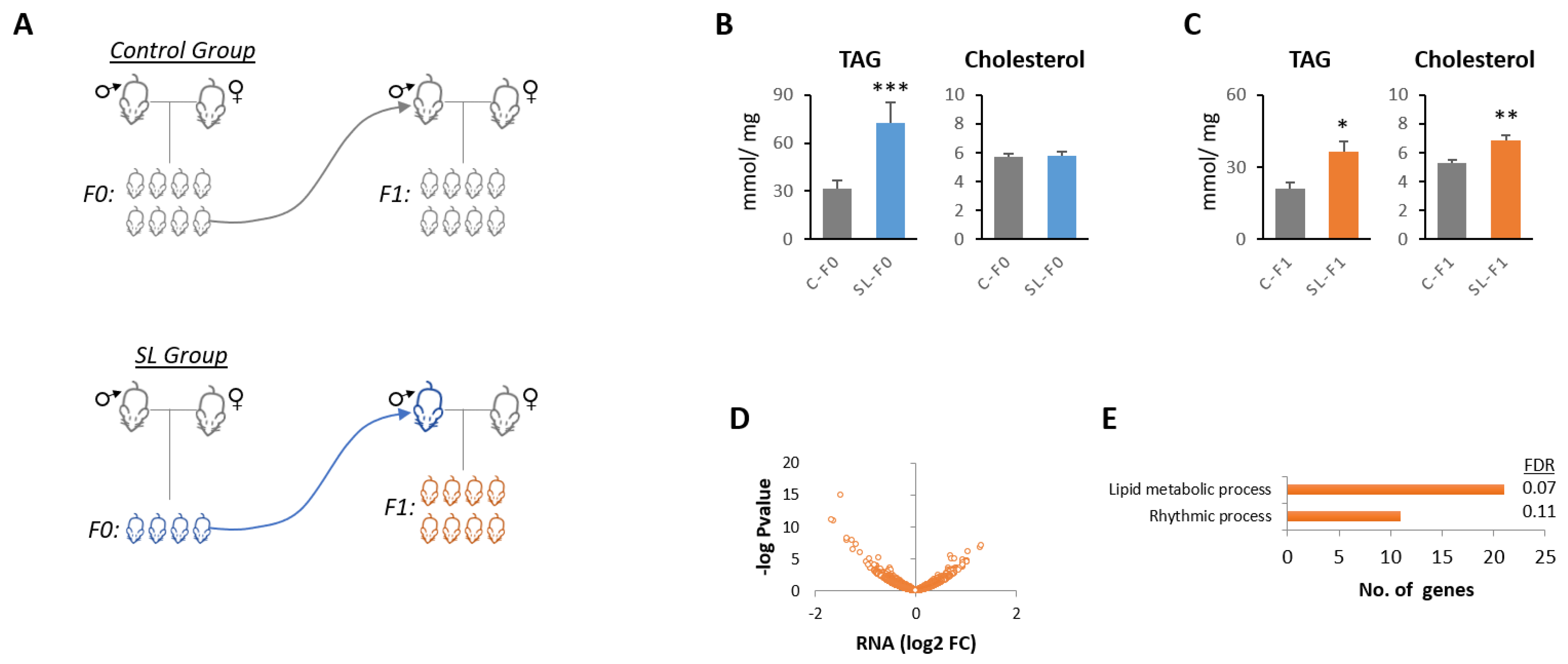 Nutrients 15 01241 g001 Nutrients 15 01241 g001