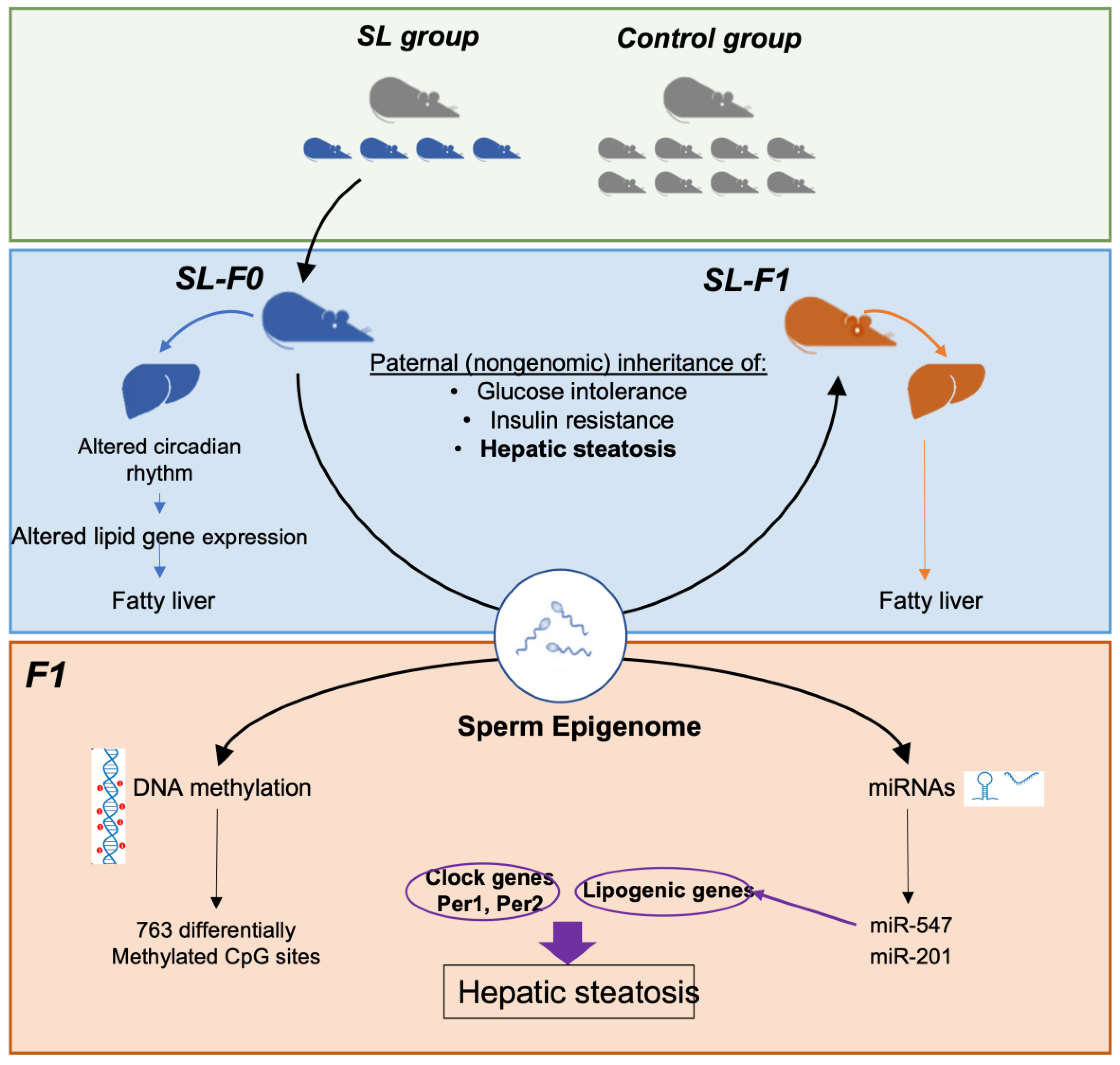 Nutrients 15 01241 g005 Nutrients 15 01241 g005