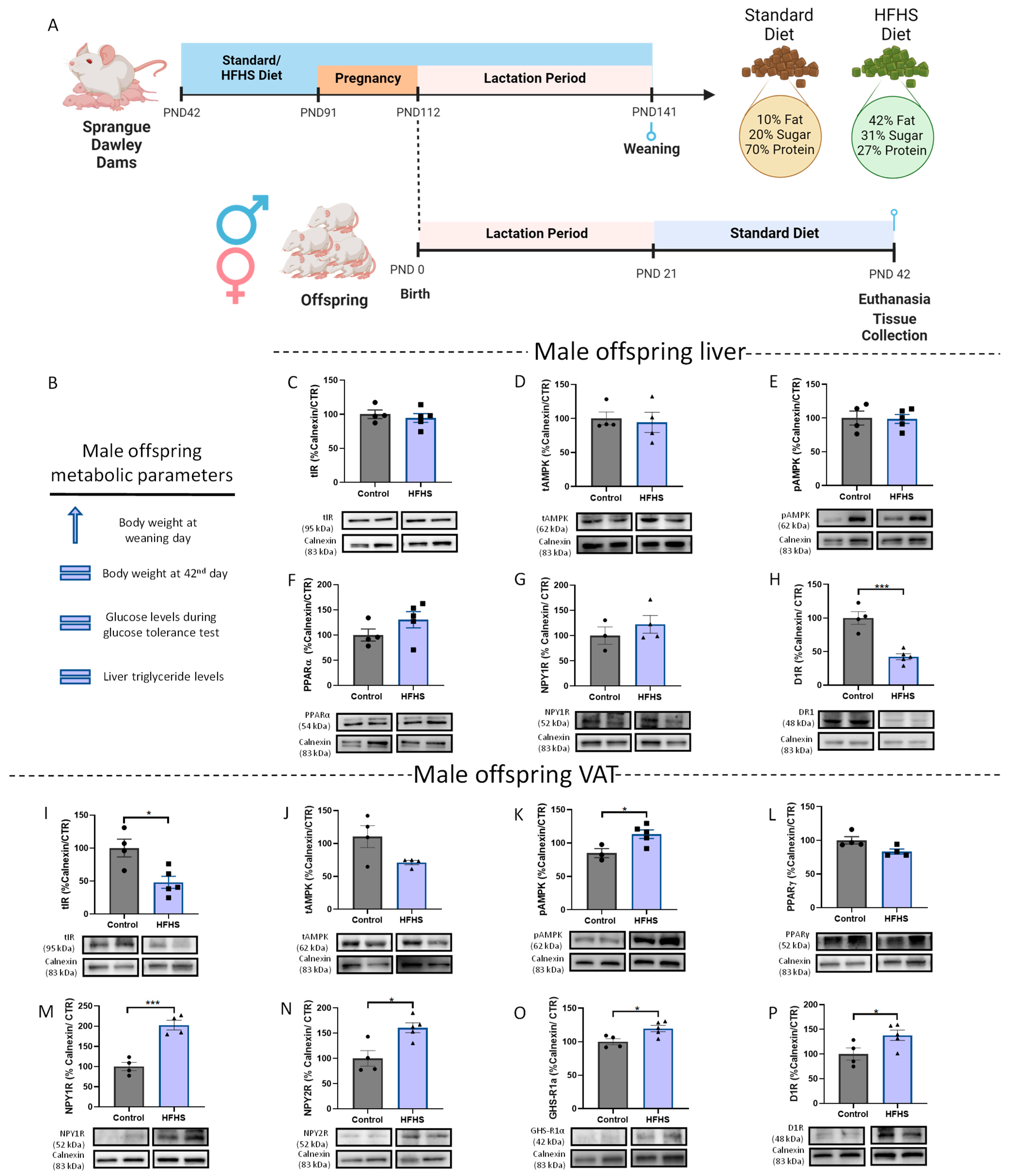 Nutrients 15 01281 g001 Nutrients 15 01281 g001