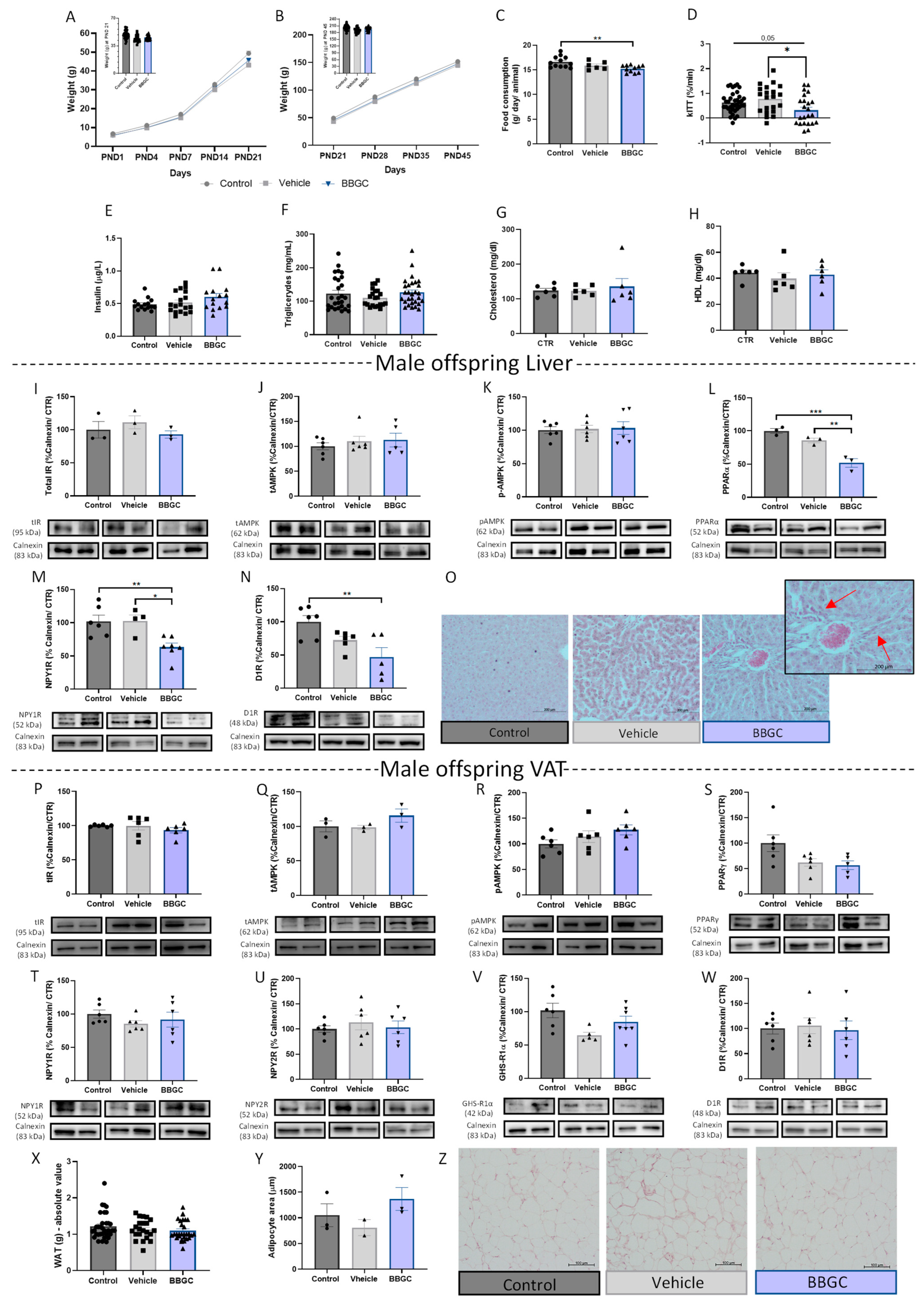 Nutrients 15 01281 g006 Nutrients 15 01281 g006