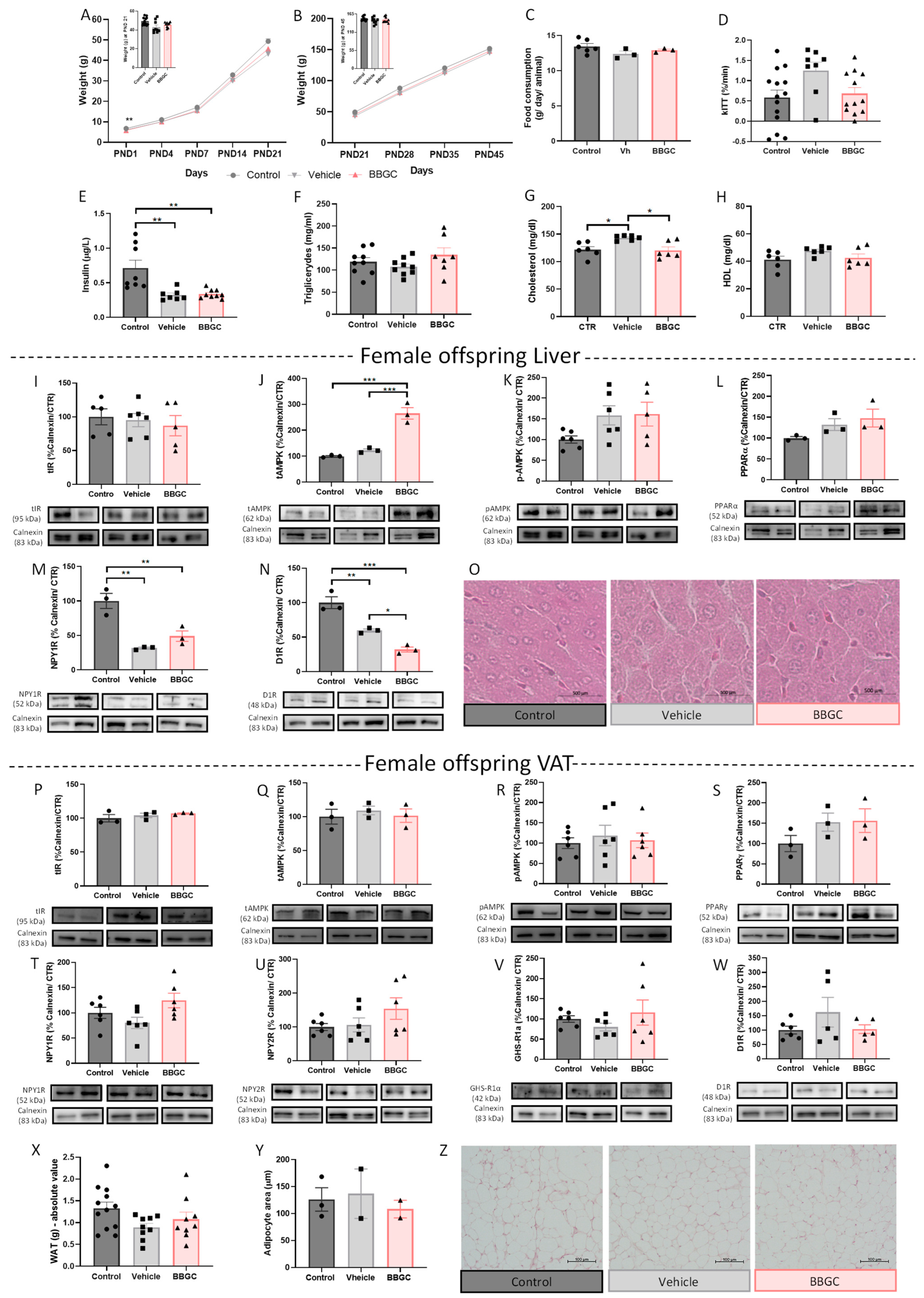 Nutrients 15 01281 g007 Nutrients 15 01281 g007