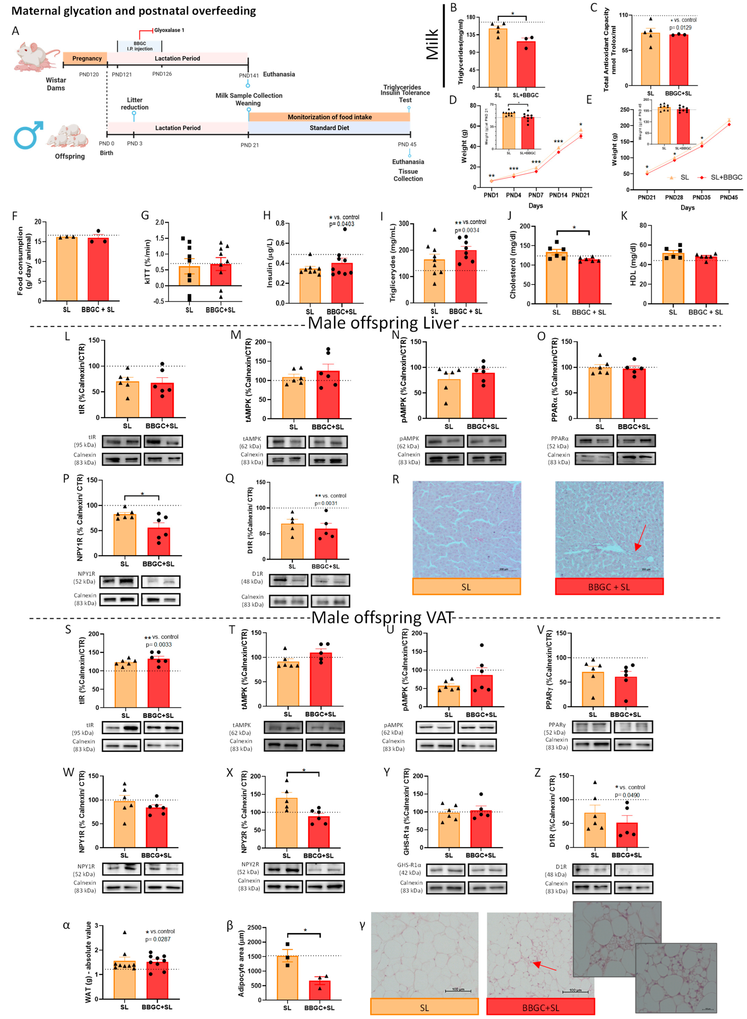 Nutrients 15 01281 g008 Nutrients 15 01281 g008