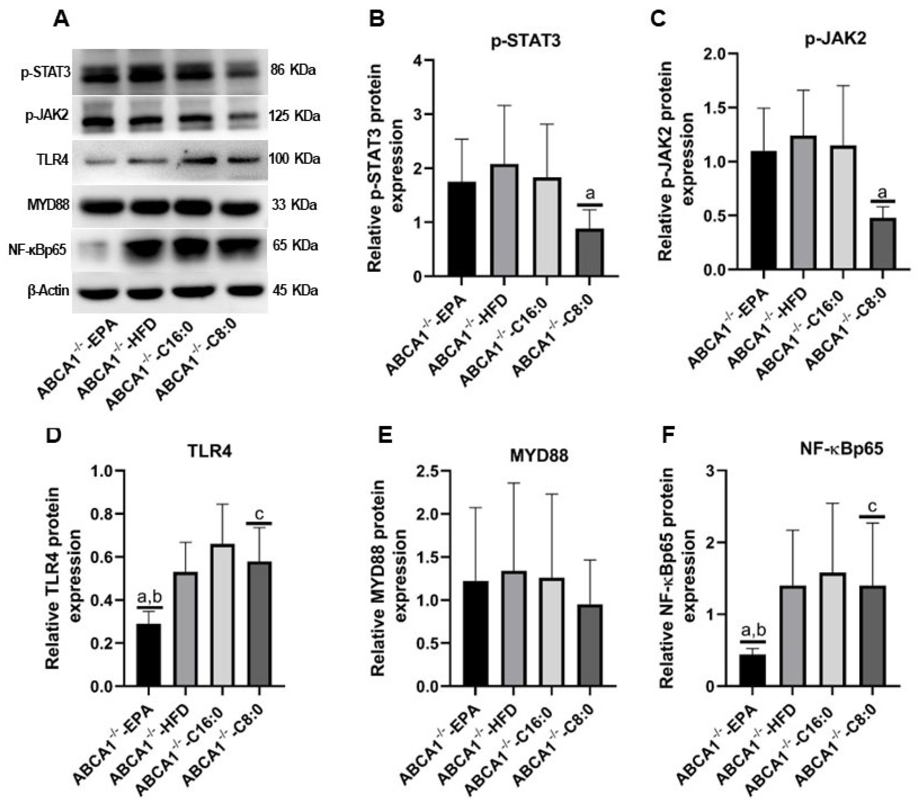 Nutrients 15 01296 g006