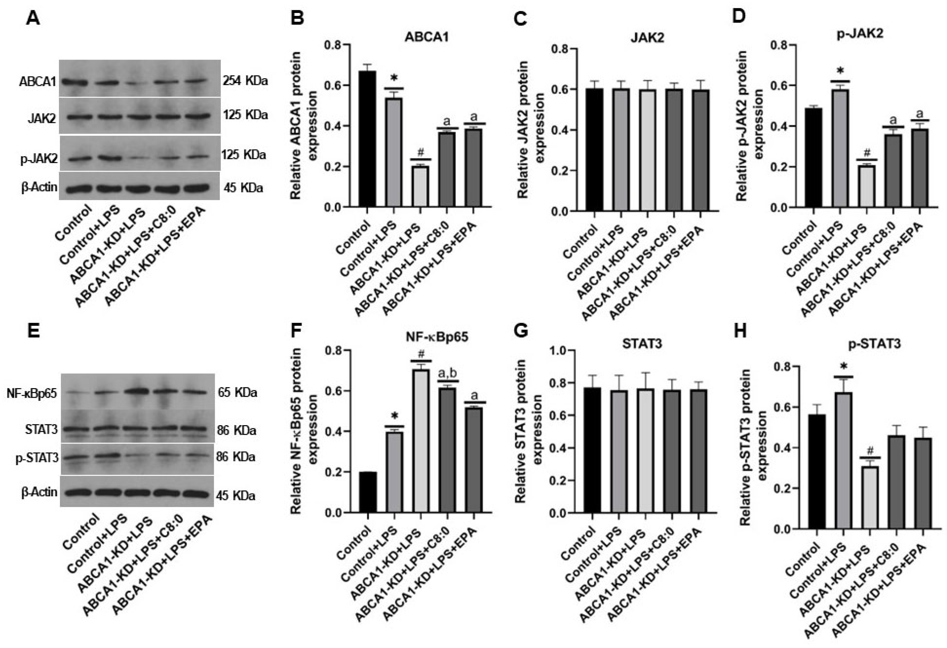 Nutrients 15 01296 g008