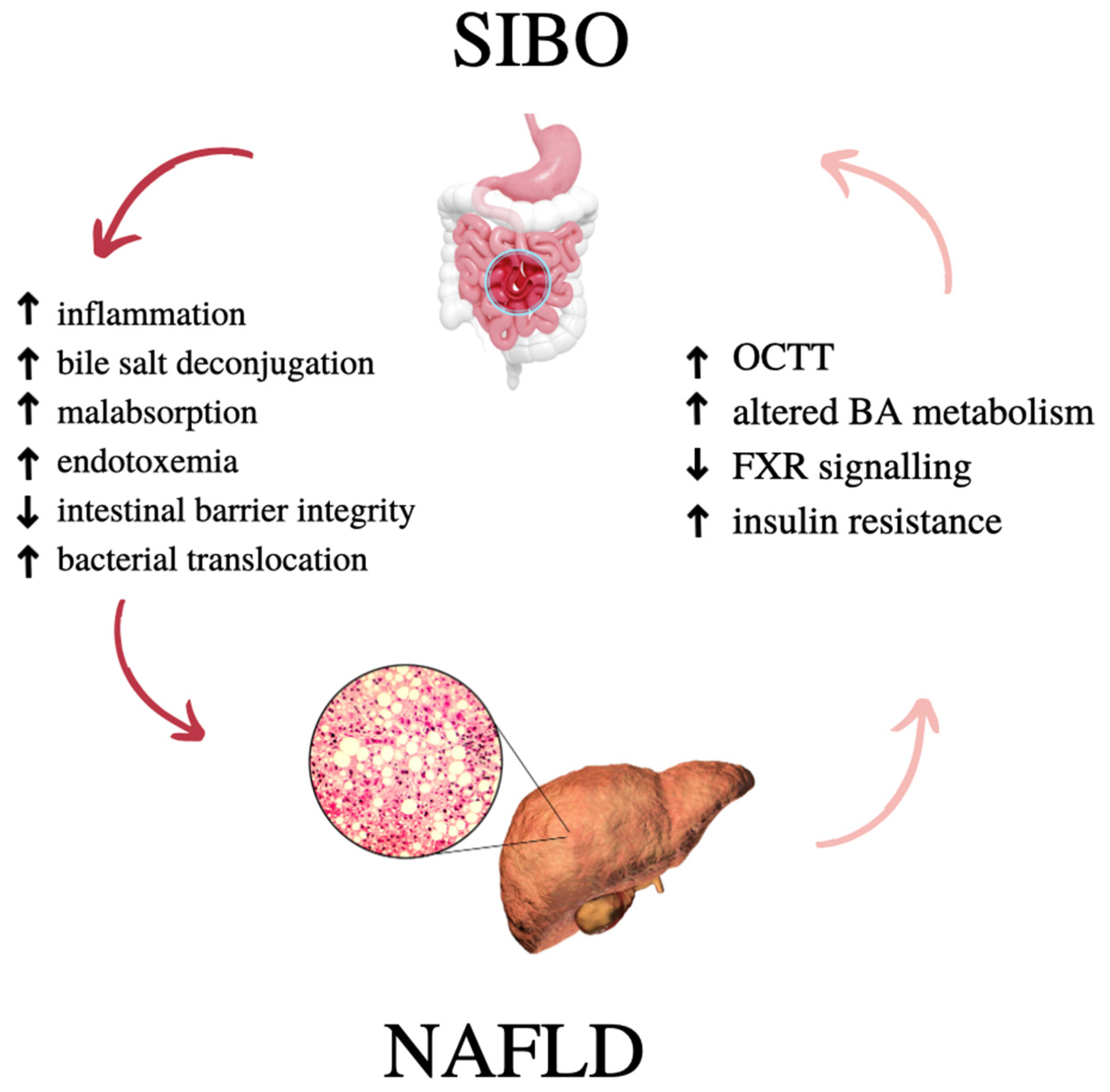 Nutrients 15 01323 g001