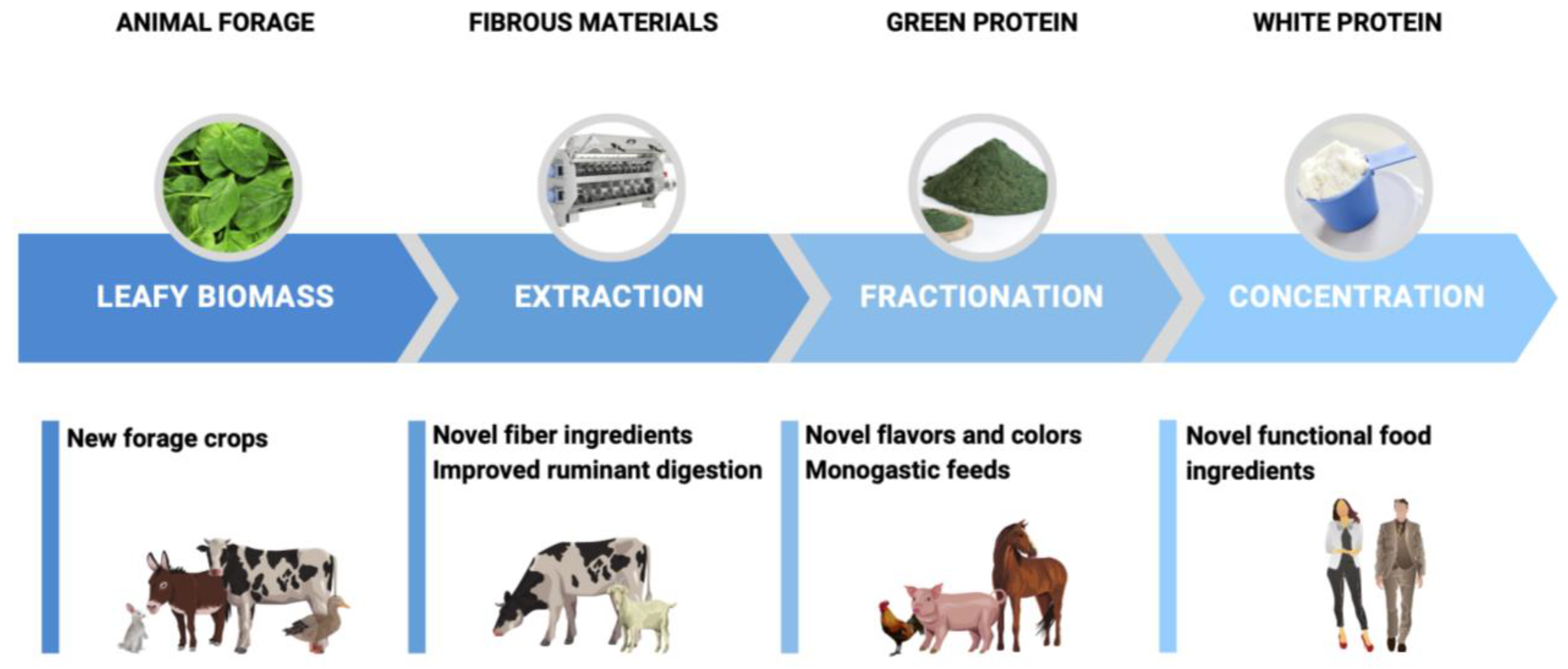 Nutrients 15 01327 g002