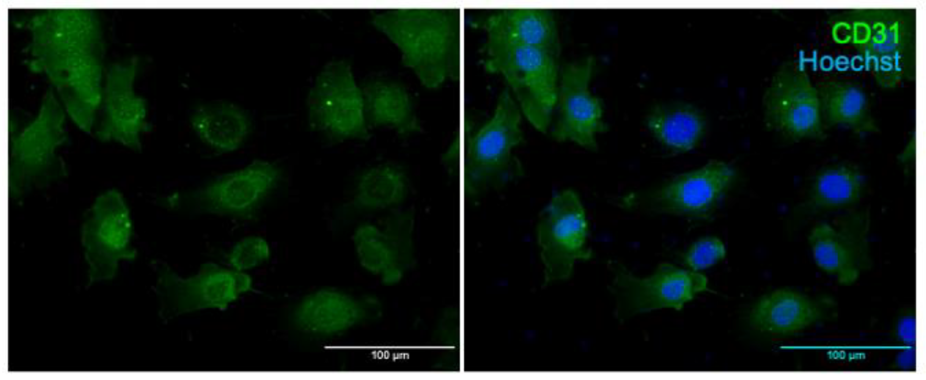Nutrients 15 01334 g001 Nutrients 15 01334 g001