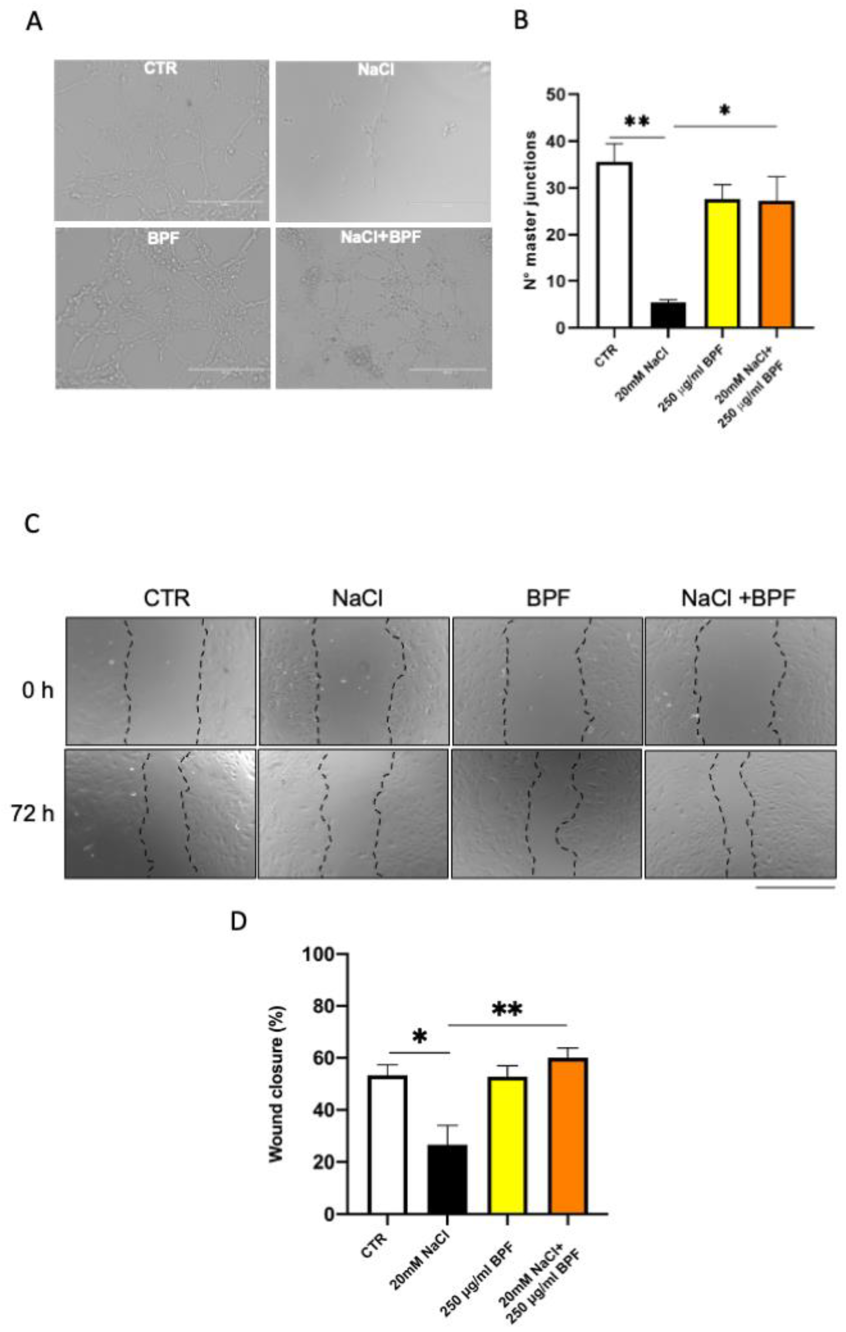 Nutrients 15 01334 g003 Nutrients 15 01334 g003