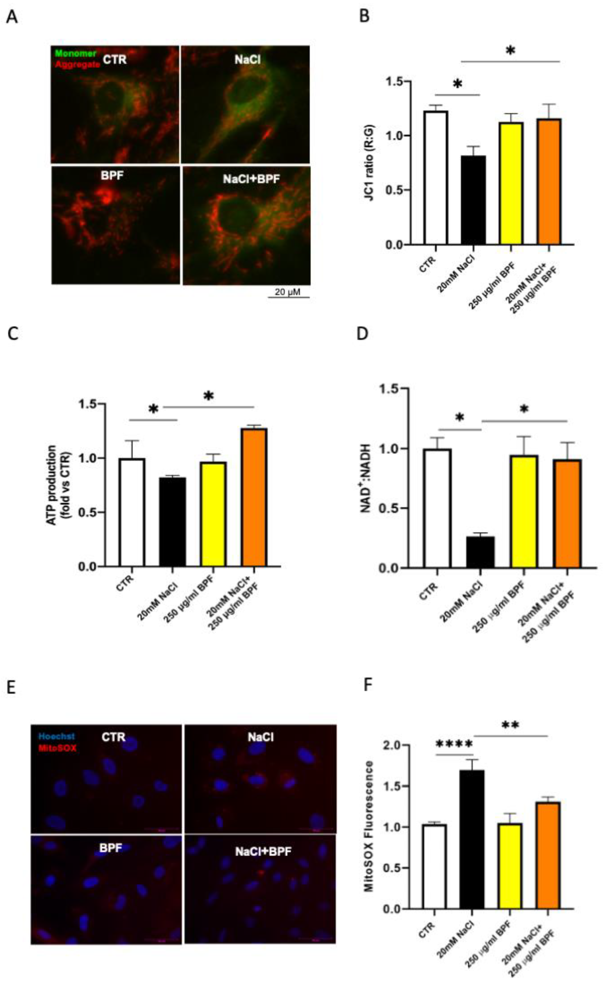 Nutrients 15 01334 g004 Nutrients 15 01334 g004