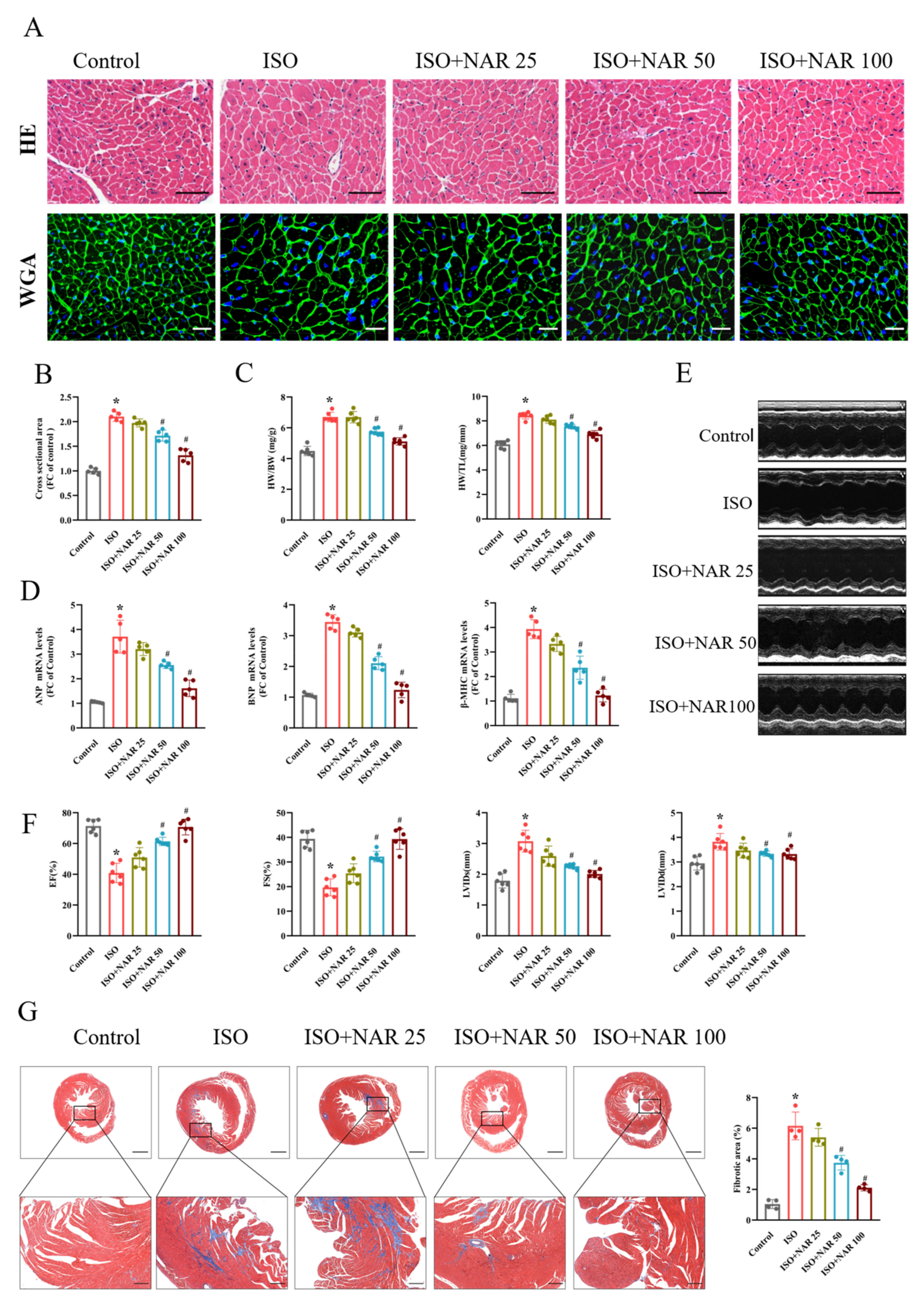 Nutrients 15 01340 g001 Nutrients 15 01340 g001